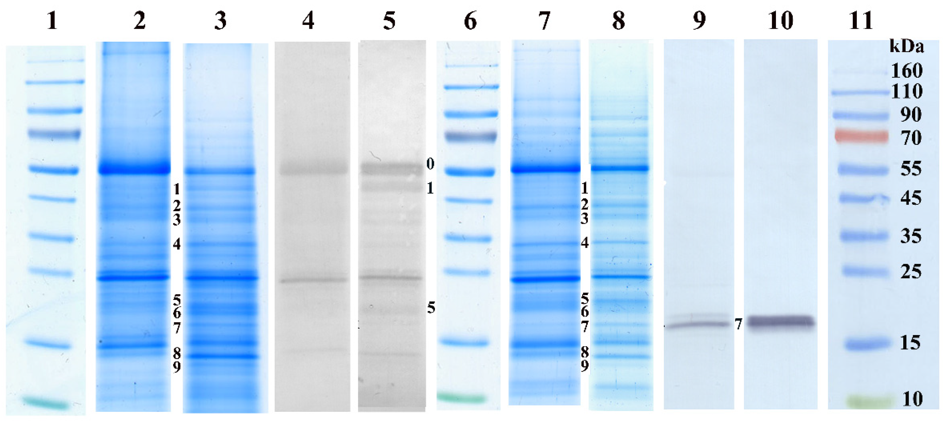 Plants 12 00401 g003