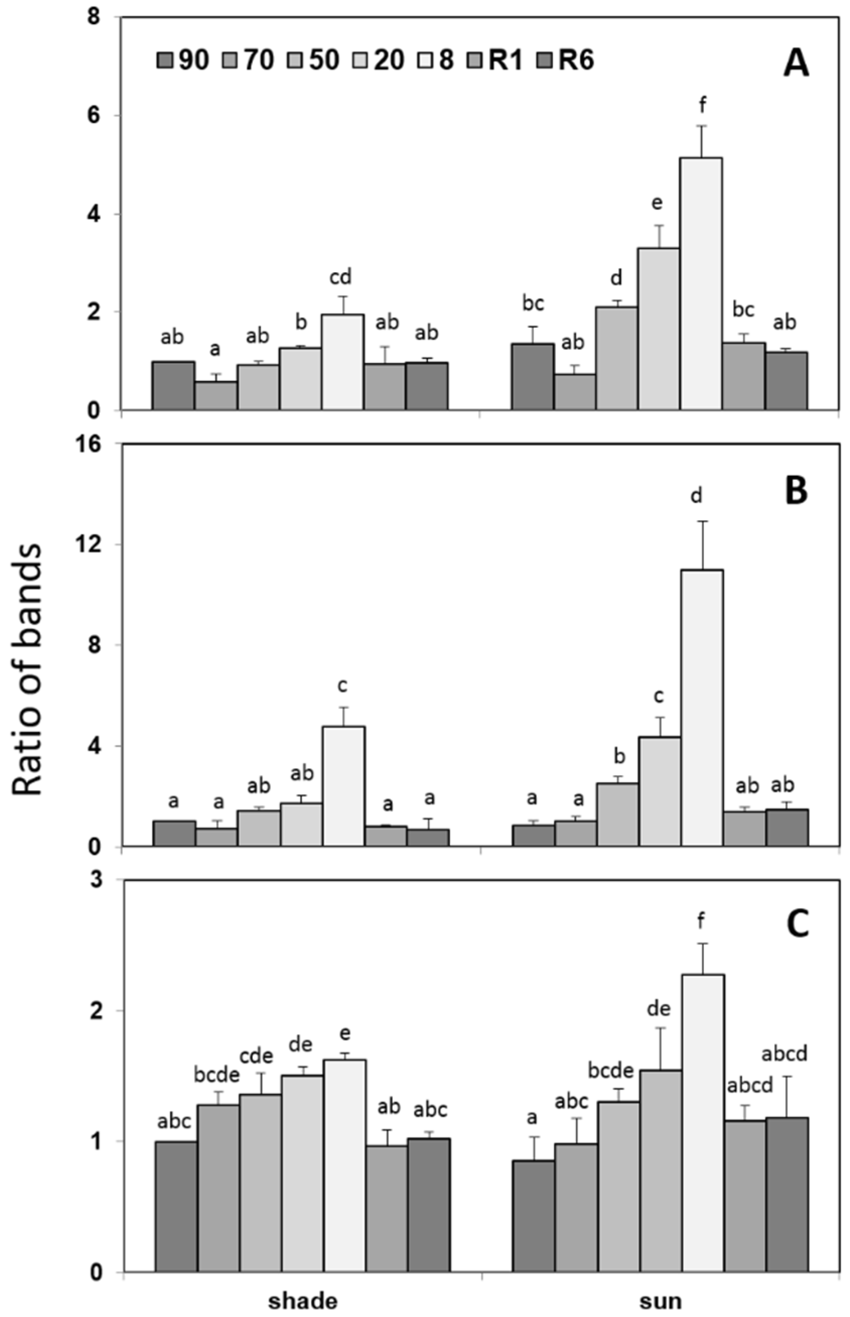 Plants 12 00401 g004