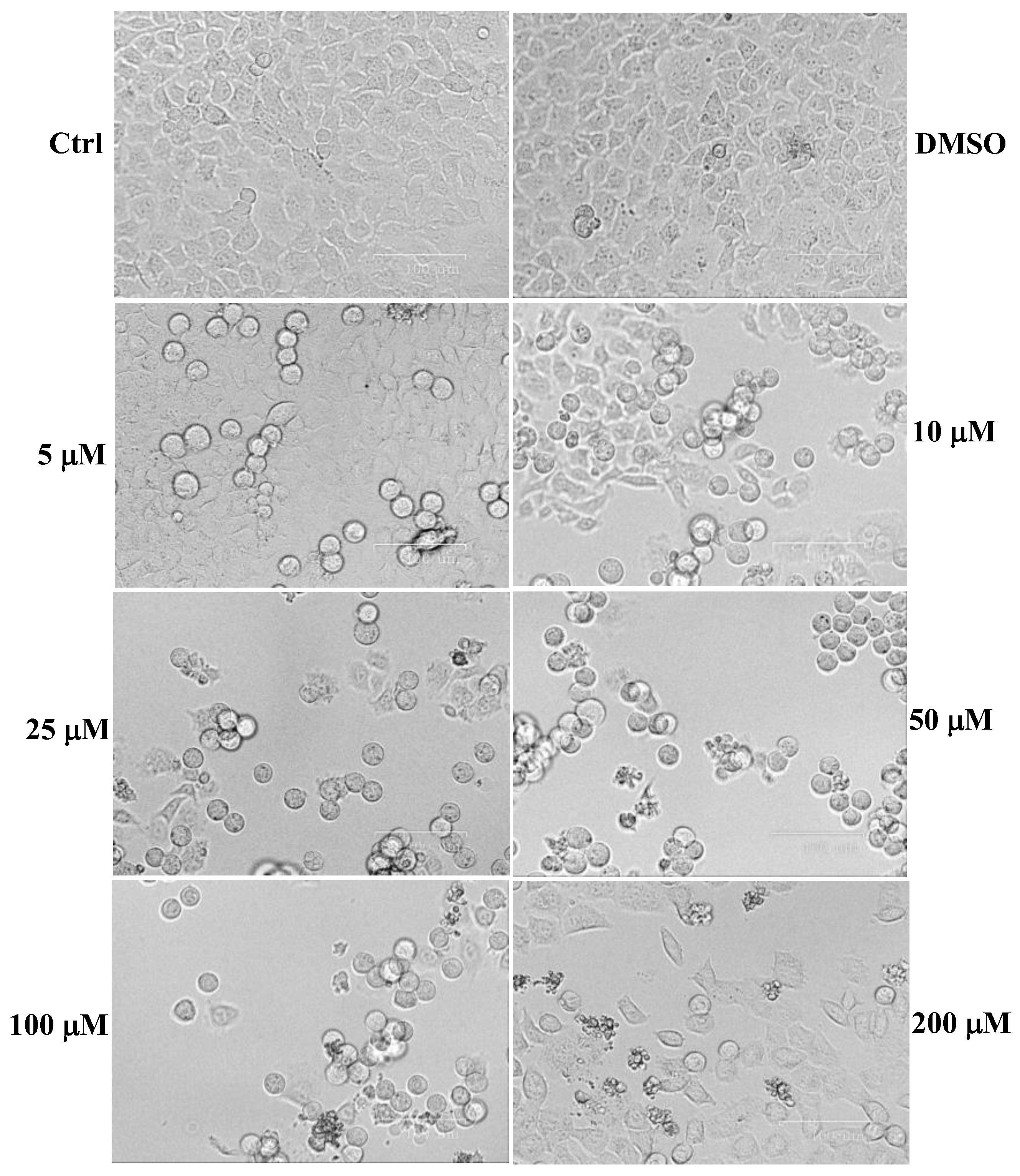 Plants 12 00402 g003