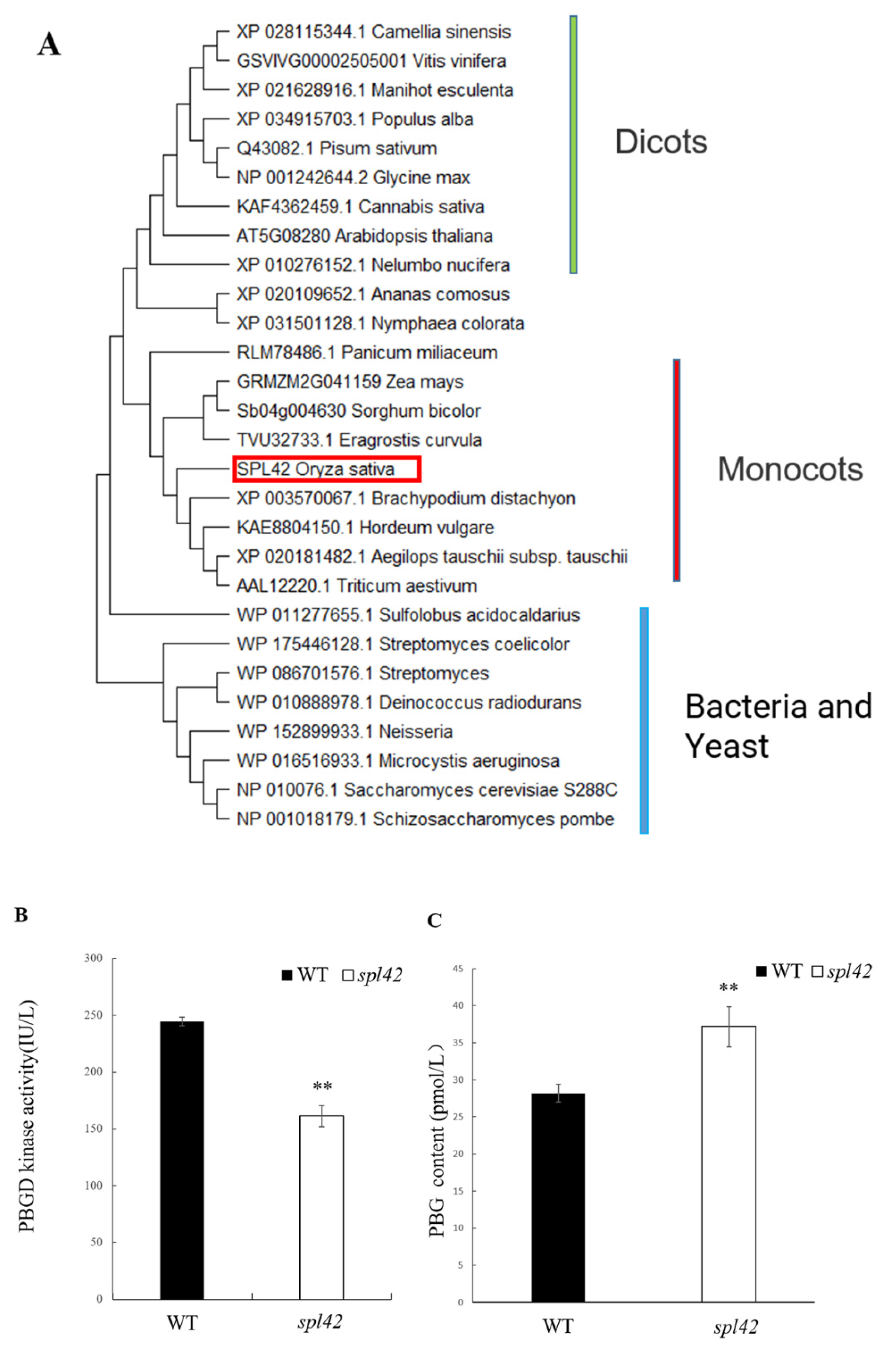 Plants 12 00403 g007 Plants 12 00403 g007