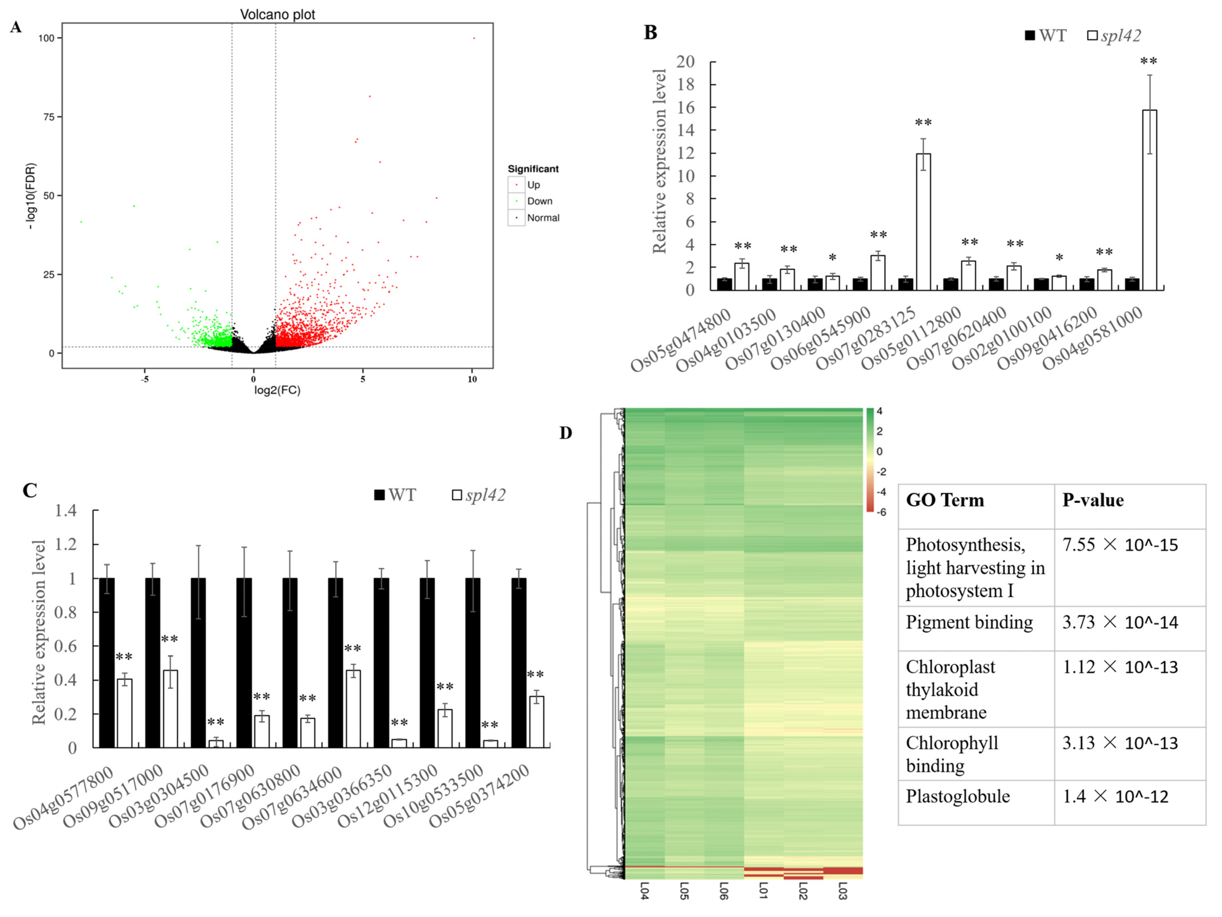 Plants 12 00403 g010 Plants 12 00403 g010