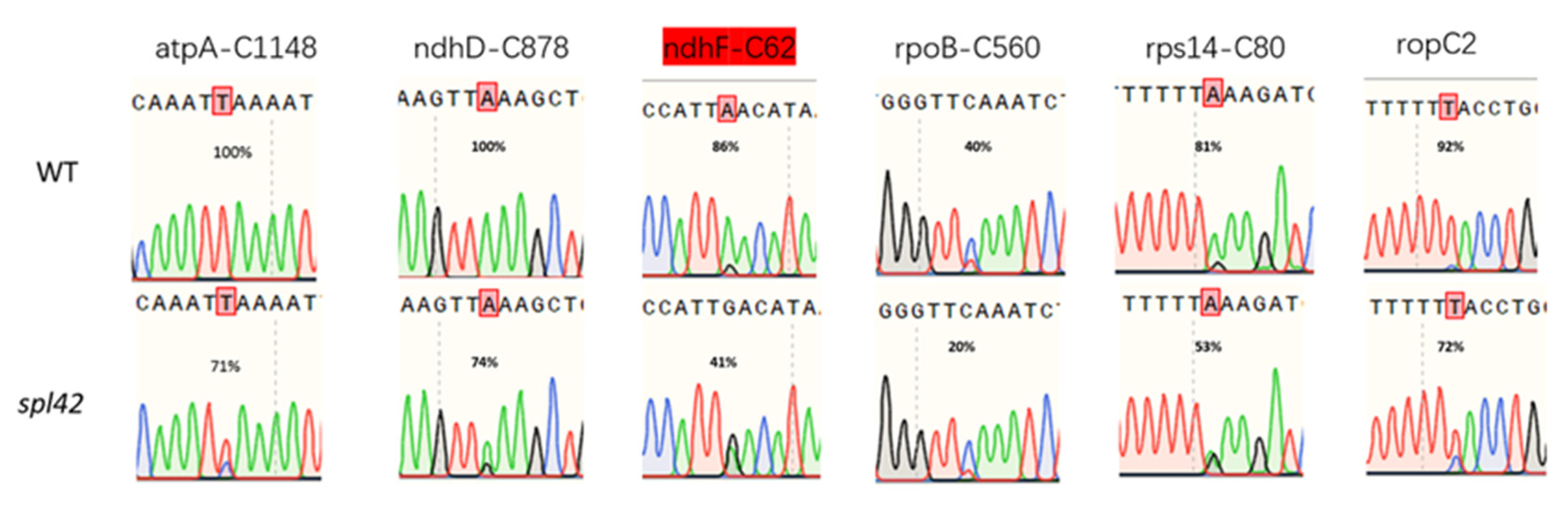 Plants 12 00403 g0a2 Plants 12 00403 g0a2