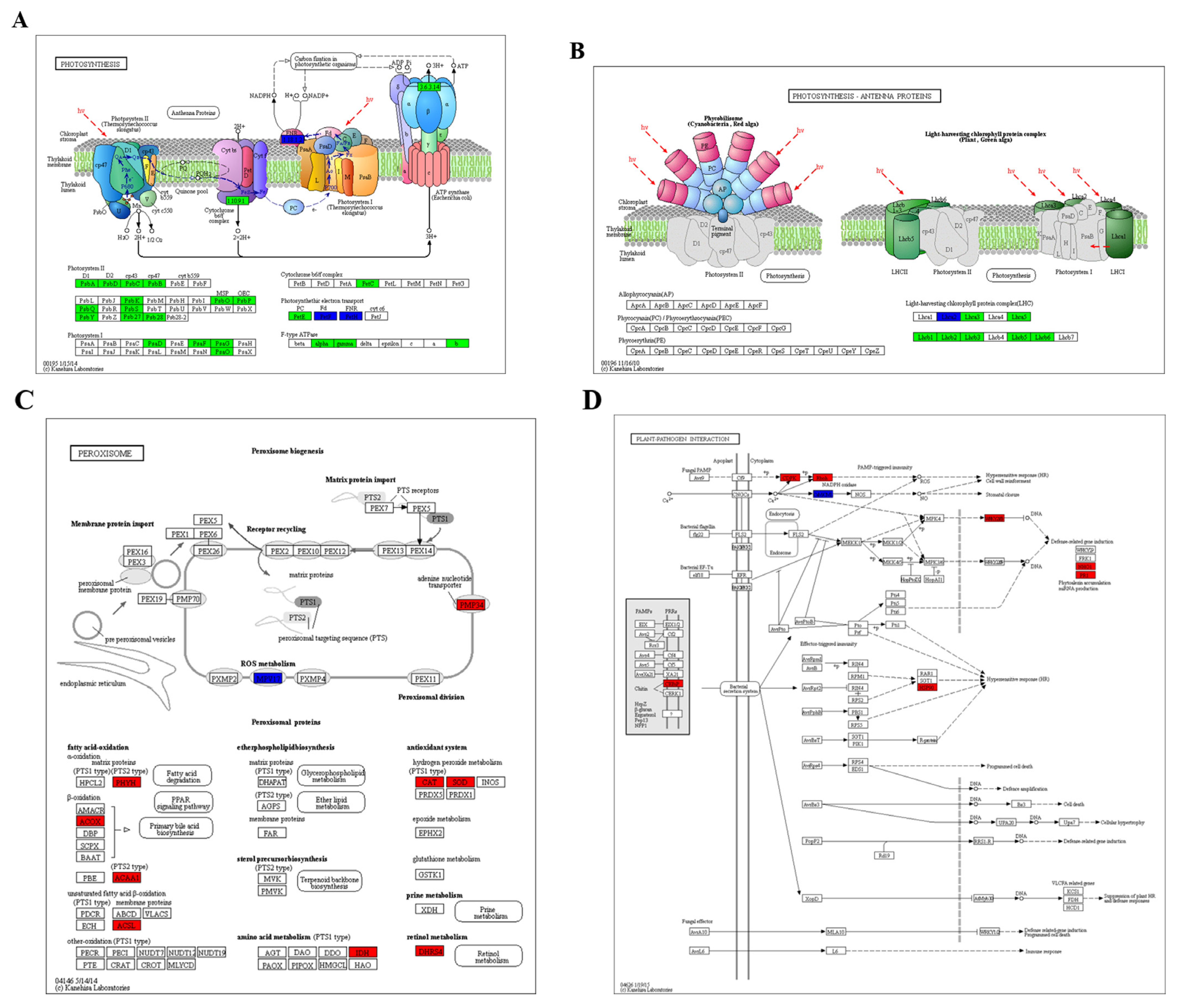 Plants 12 00403 g0a3 Plants 12 00403 g0a3