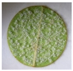 Plants 12 00404 i001