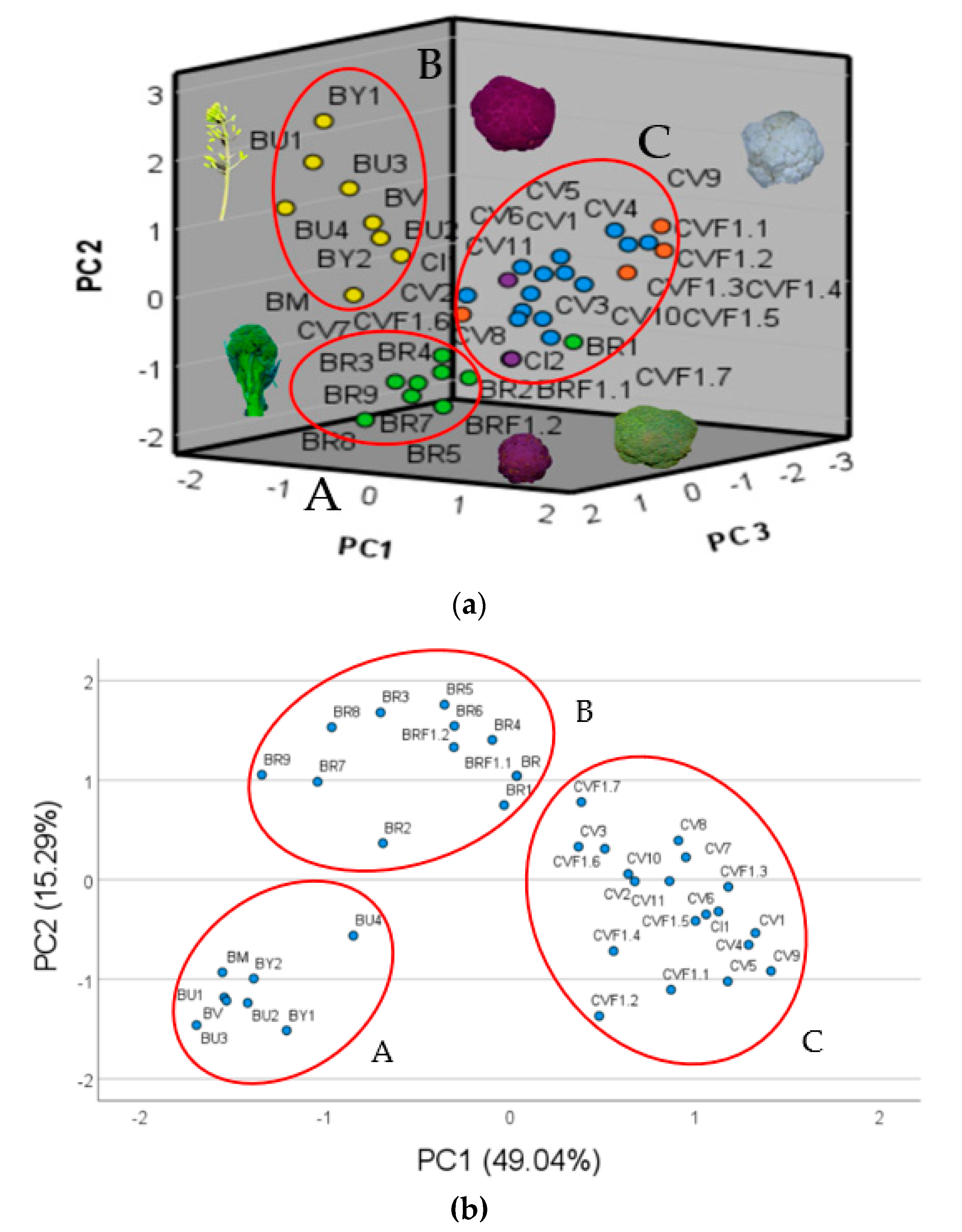 Plants 12 00407 g001