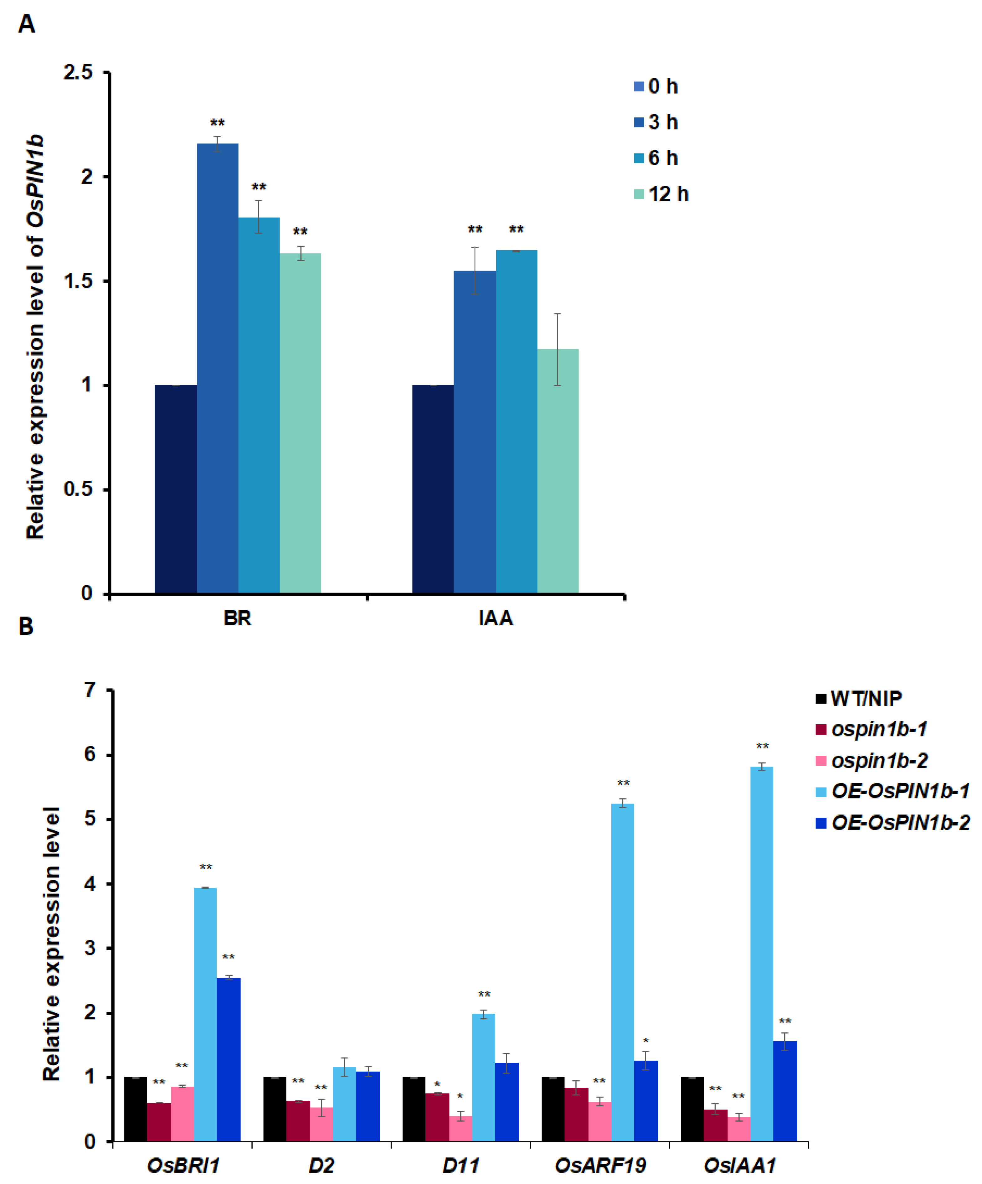 Plants 12 00409 g006 Plants 12 00409 g006