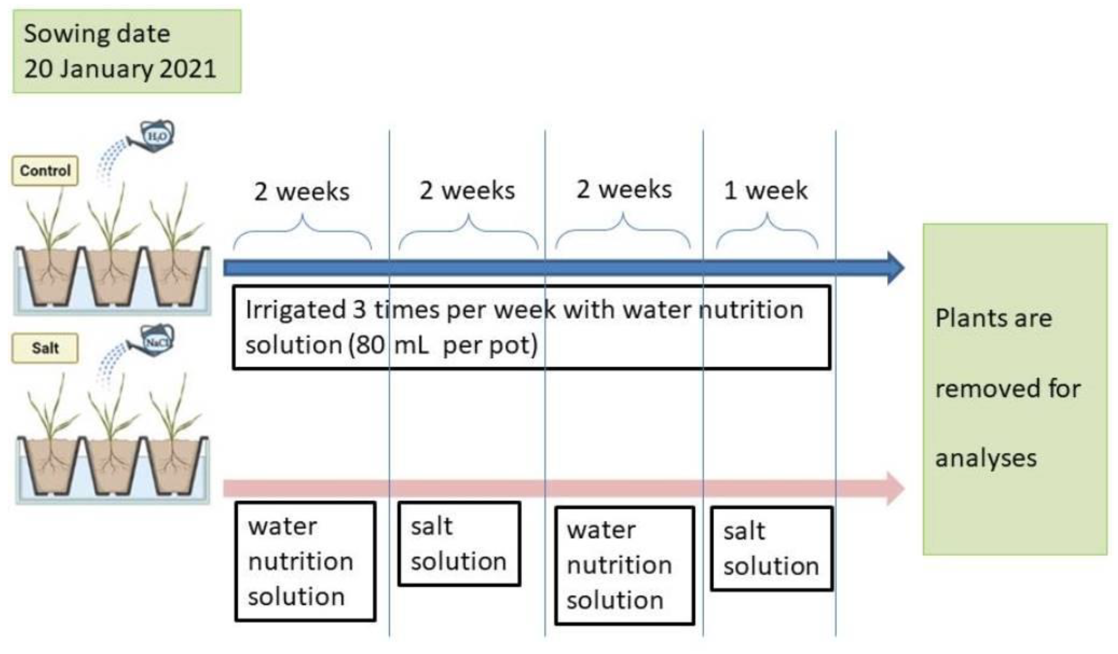 Plants 12 00412 g005