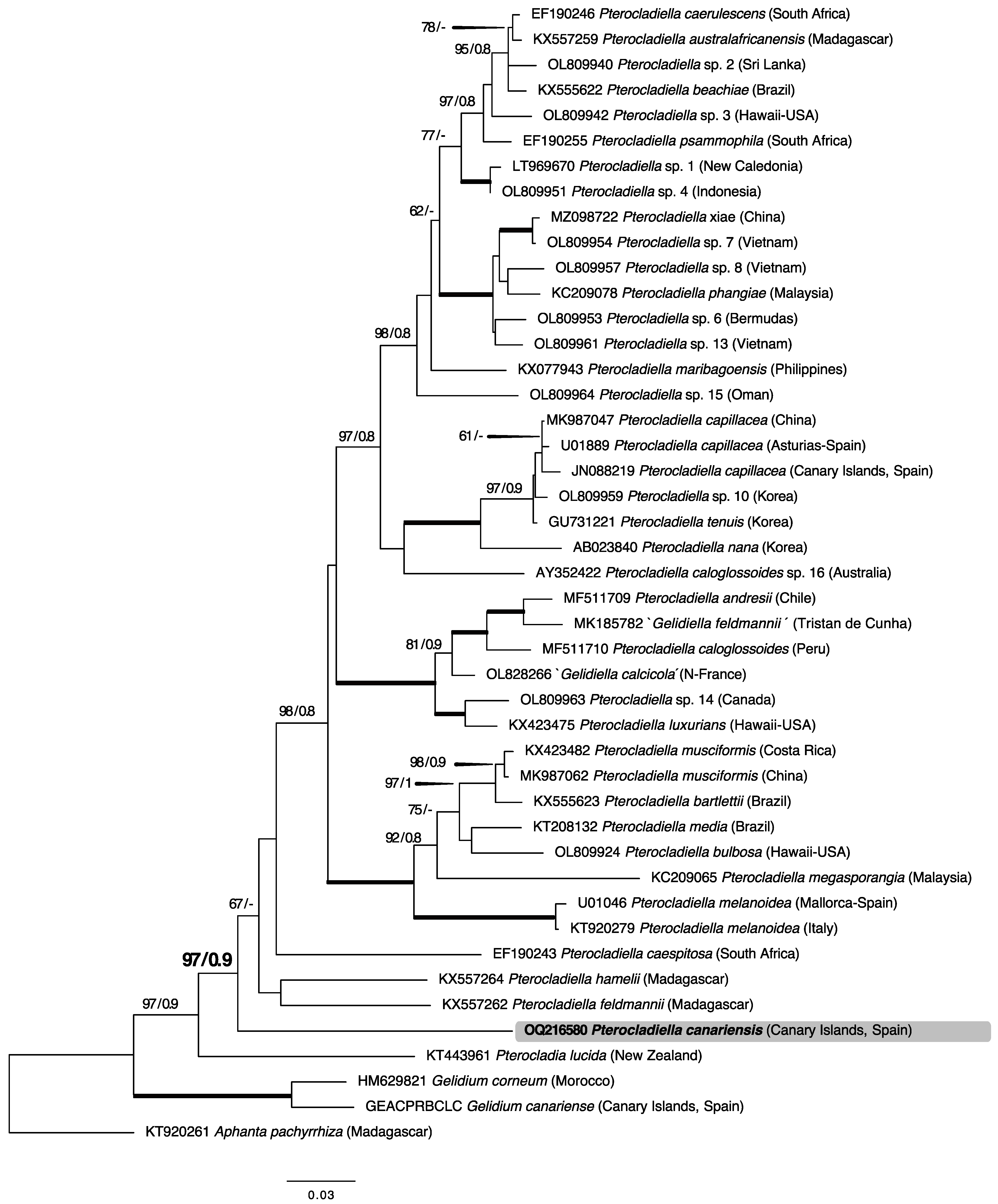Plants 12 00416 g002 Plants 12 00416 g002