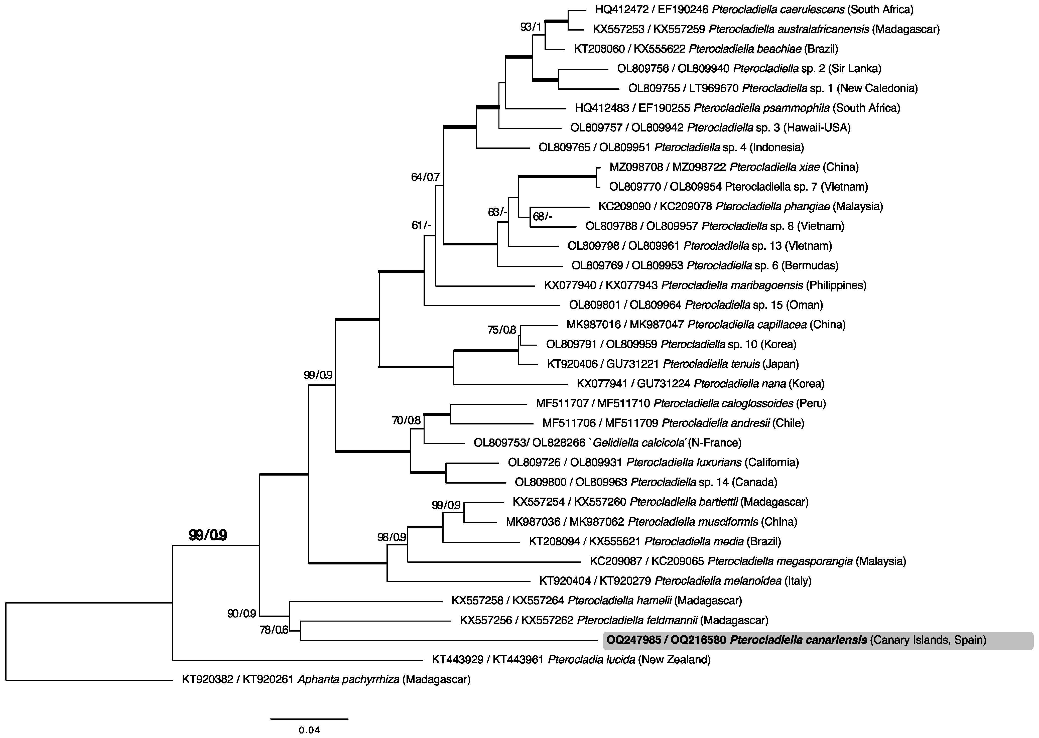 Plants 12 00416 g003 Plants 12 00416 g003