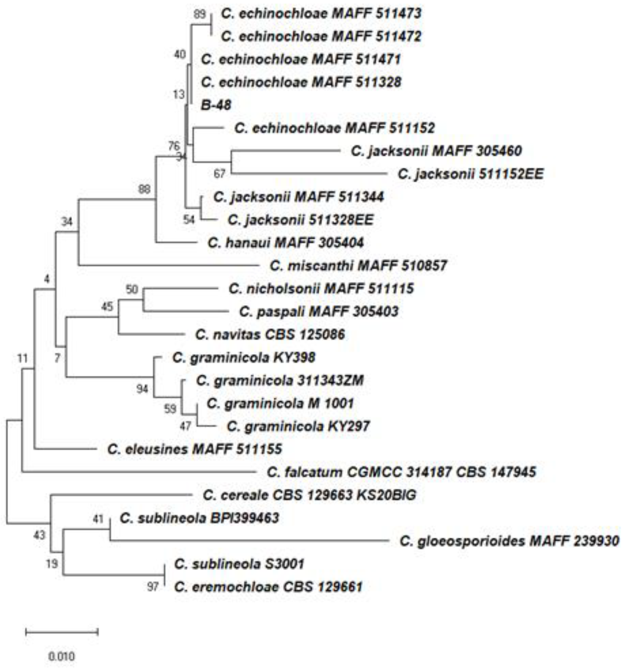 Plants 12 00421 g002 Plants 12 00421 g002