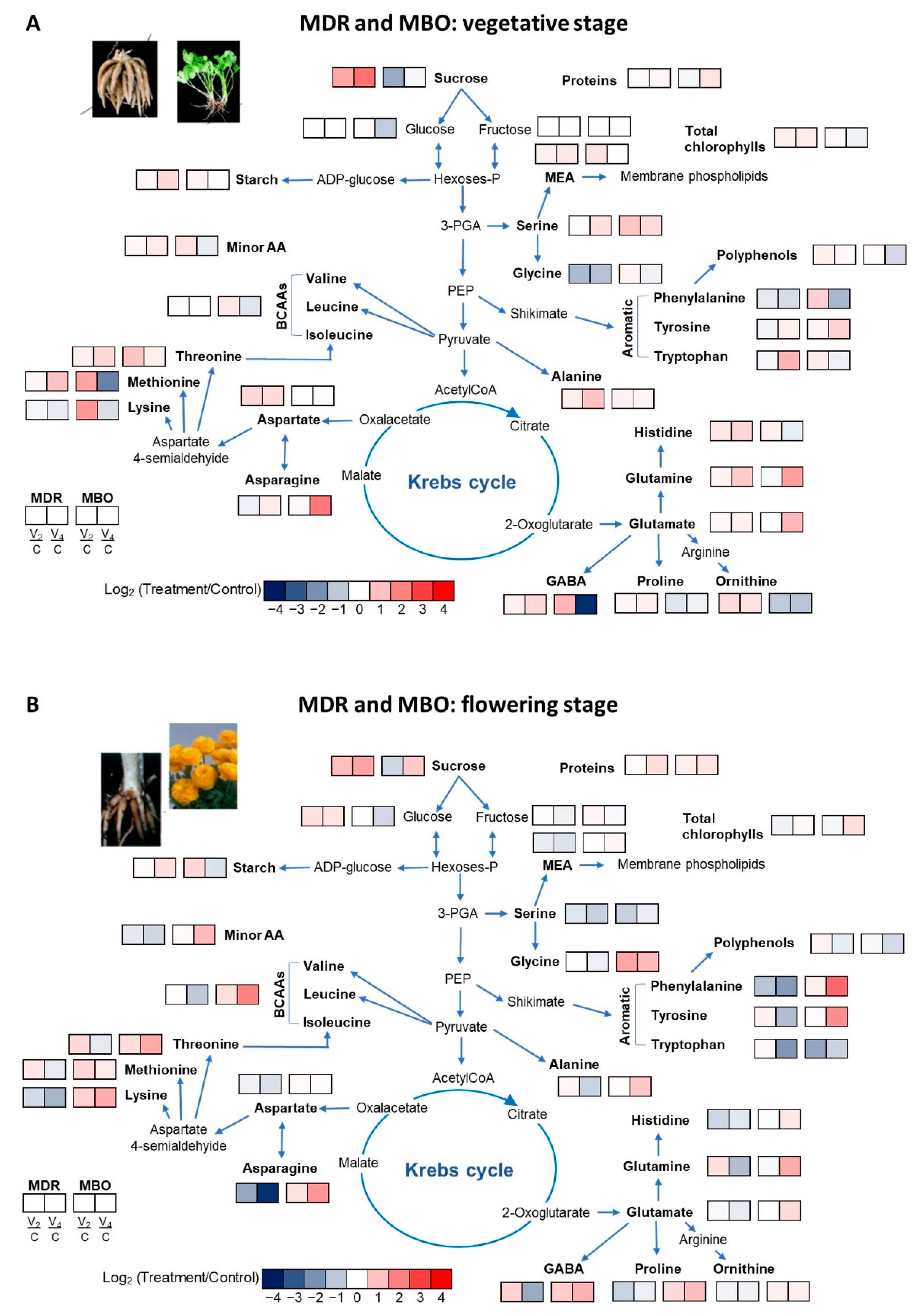 Plants 12 00425 g002 Plants 12 00425 g002