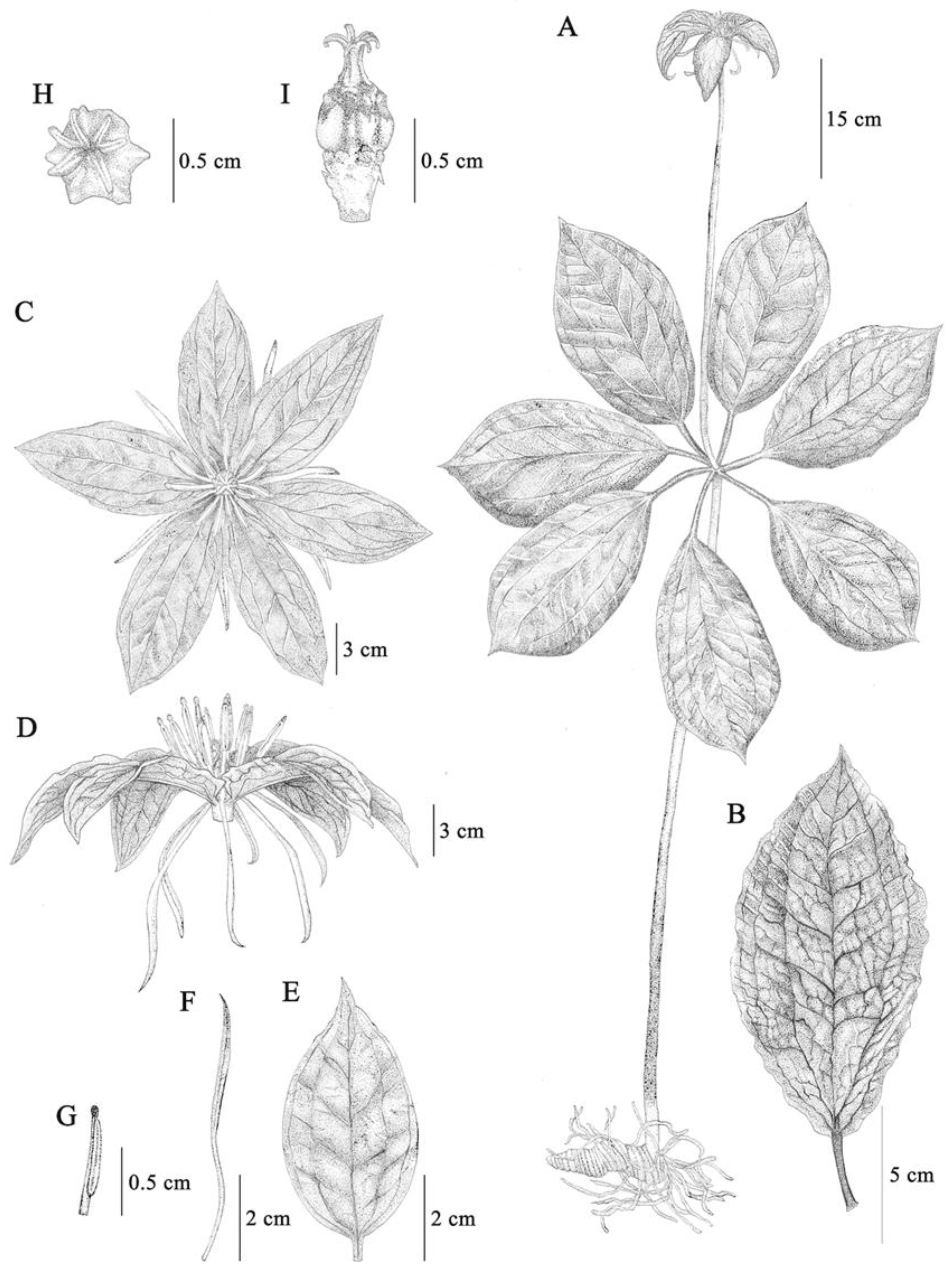 Plants 12 00430 g003