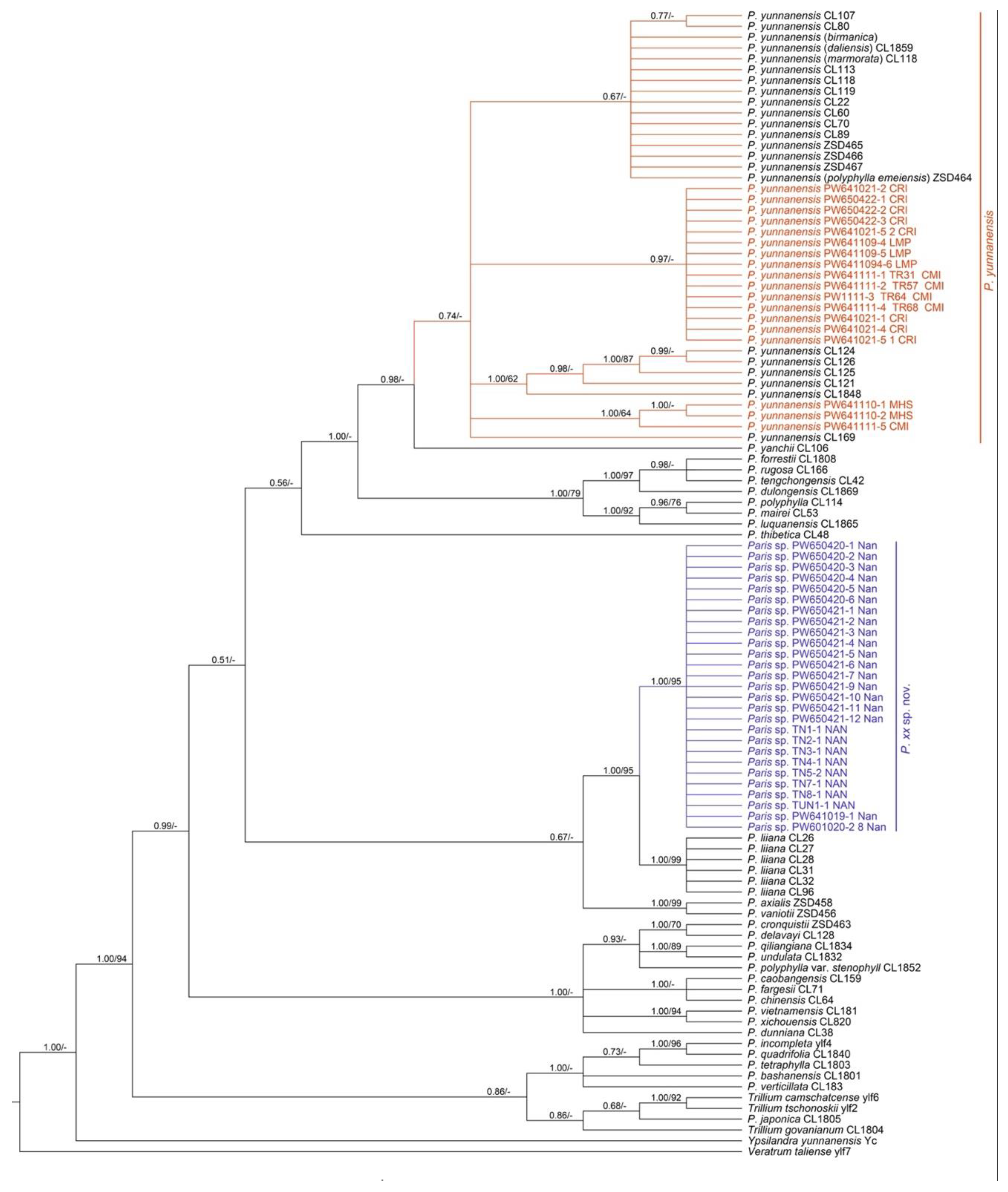 Plants 12 00430 g005