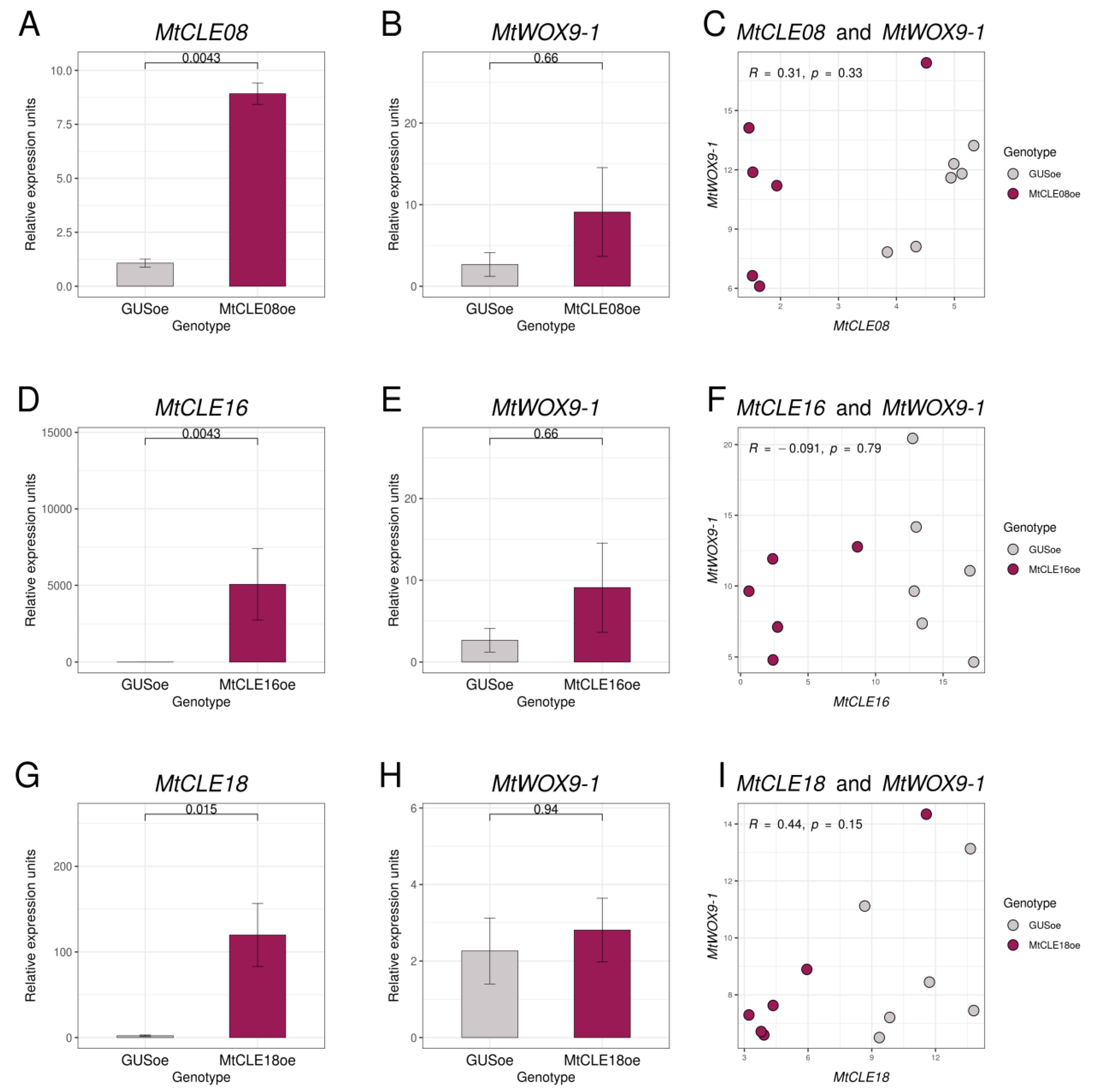 Plants 12 00435 g005 Plants 12 00435 g005