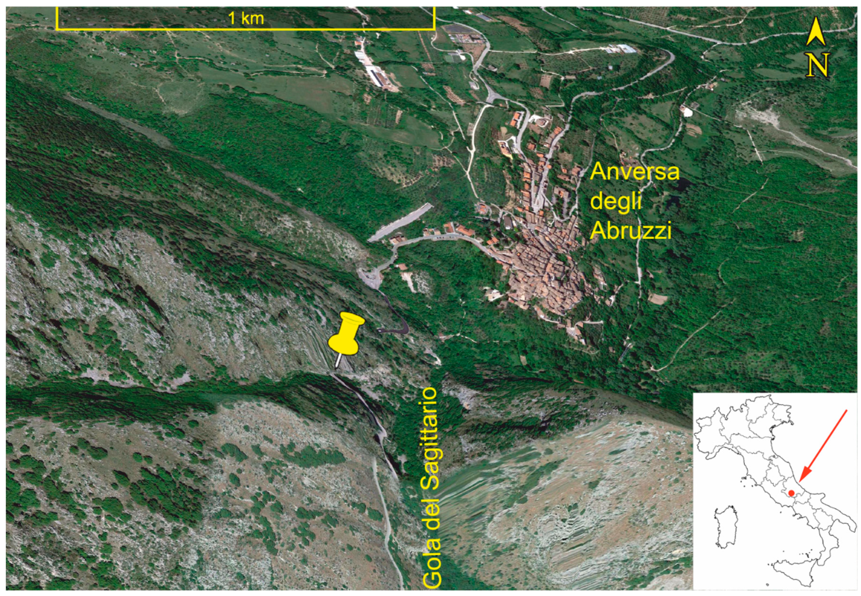 Plants 12 00438 g001