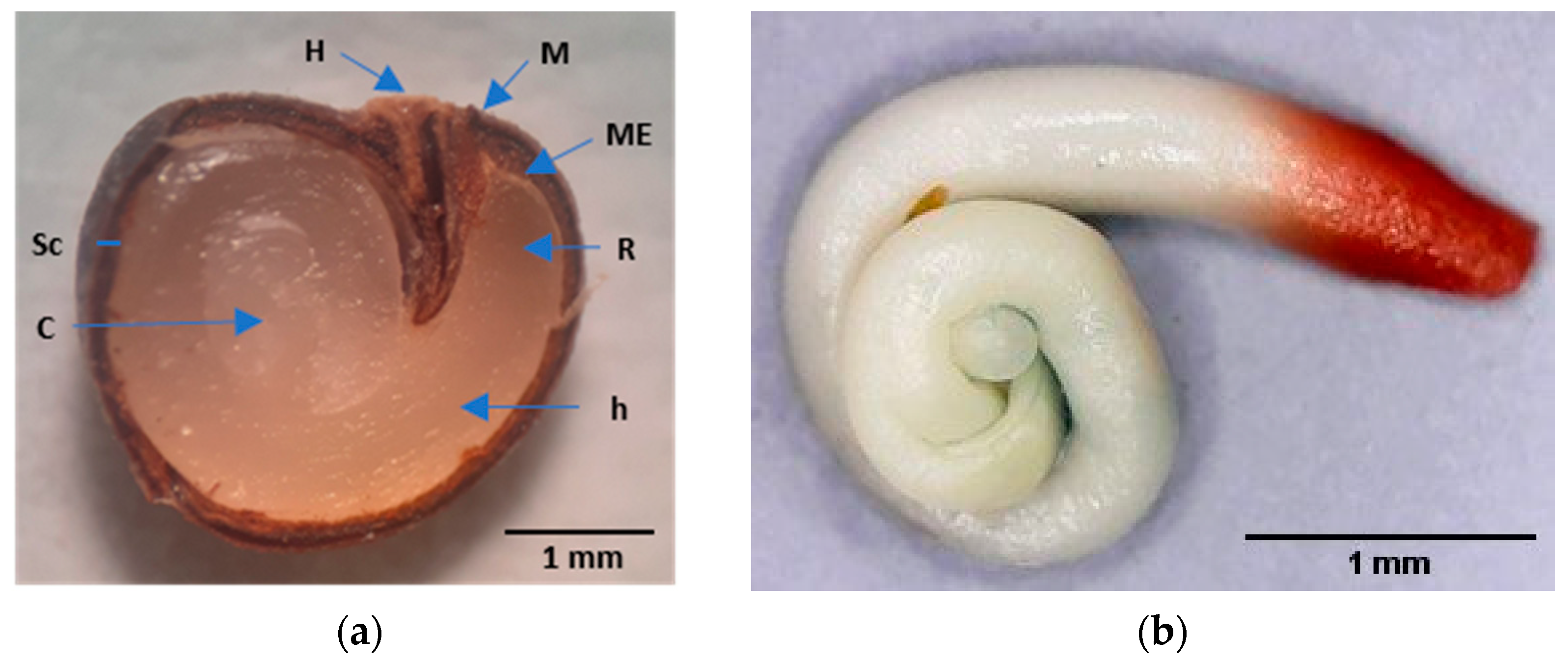 Plants 12 00439 g001 Plants 12 00439 g001