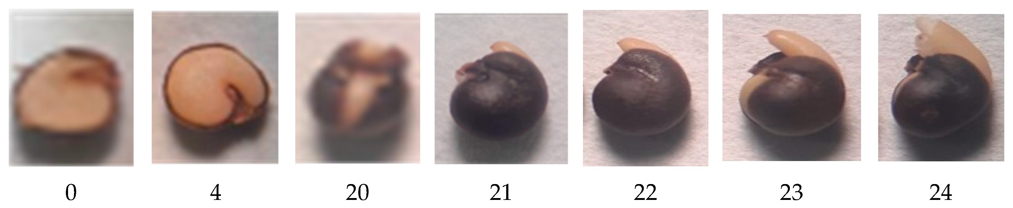 Plants 12 00439 g002 Plants 12 00439 g002