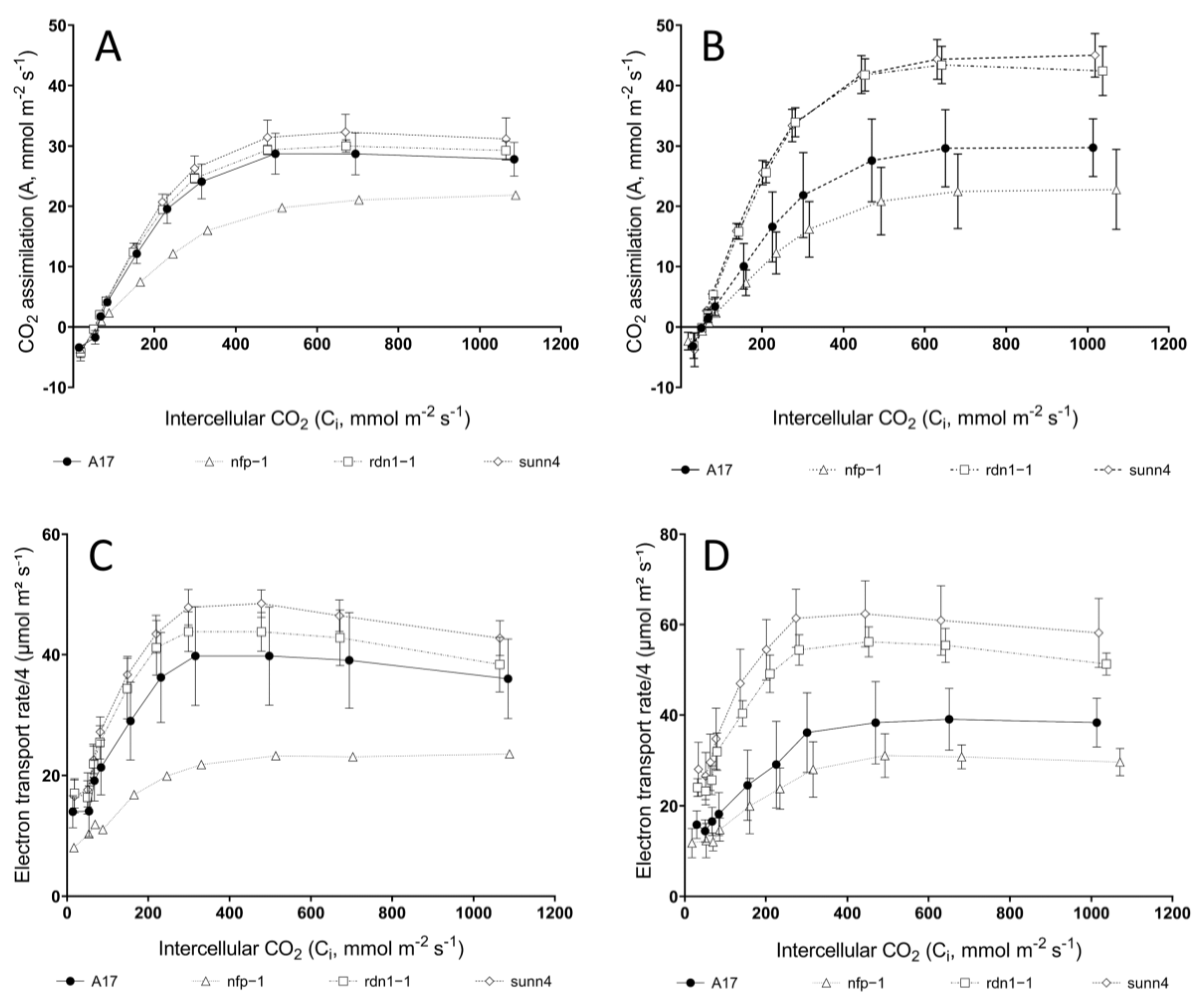 Plants 12 00441 g001
