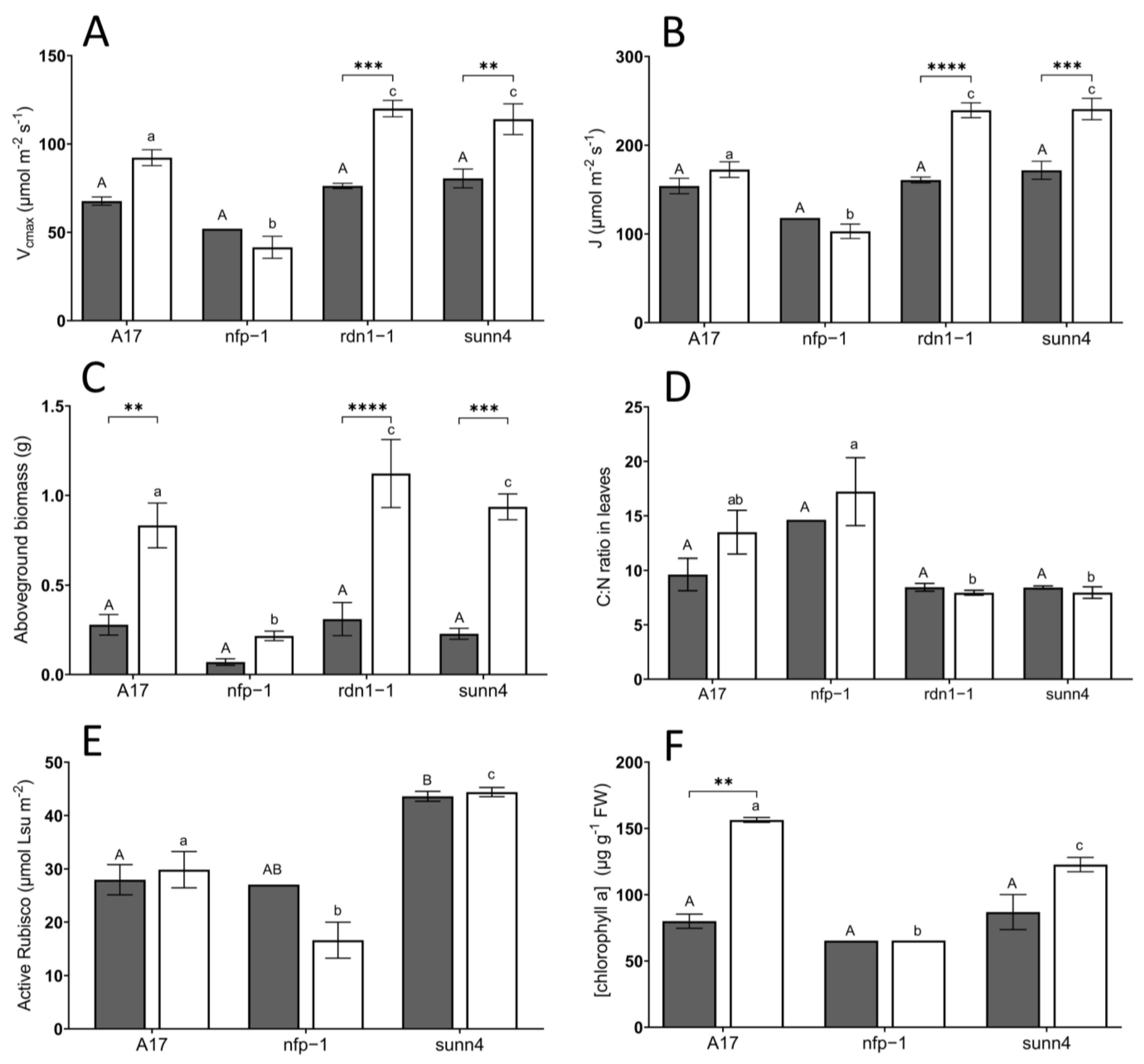 Plants 12 00441 g002