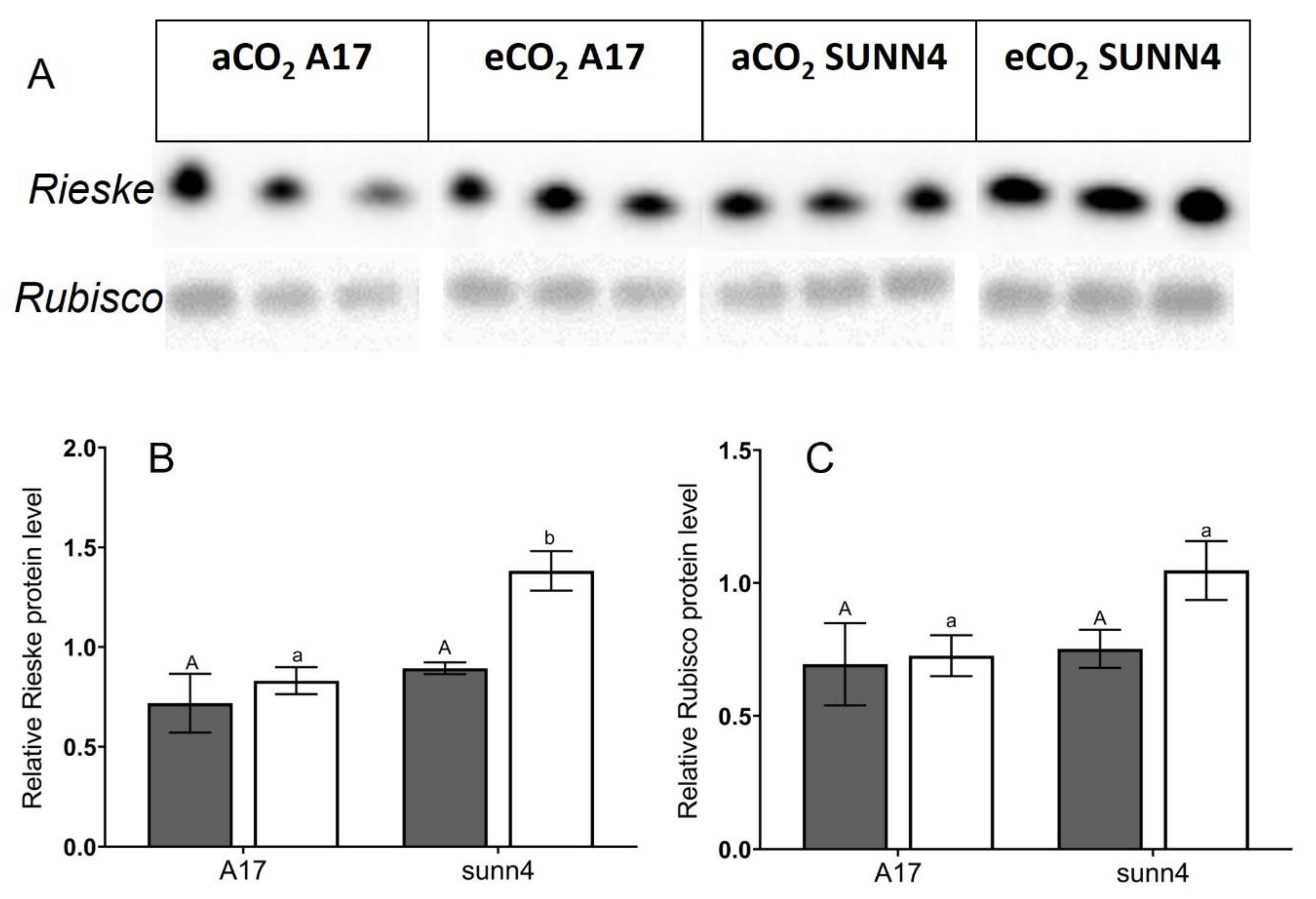 Plants 12 00441 g003