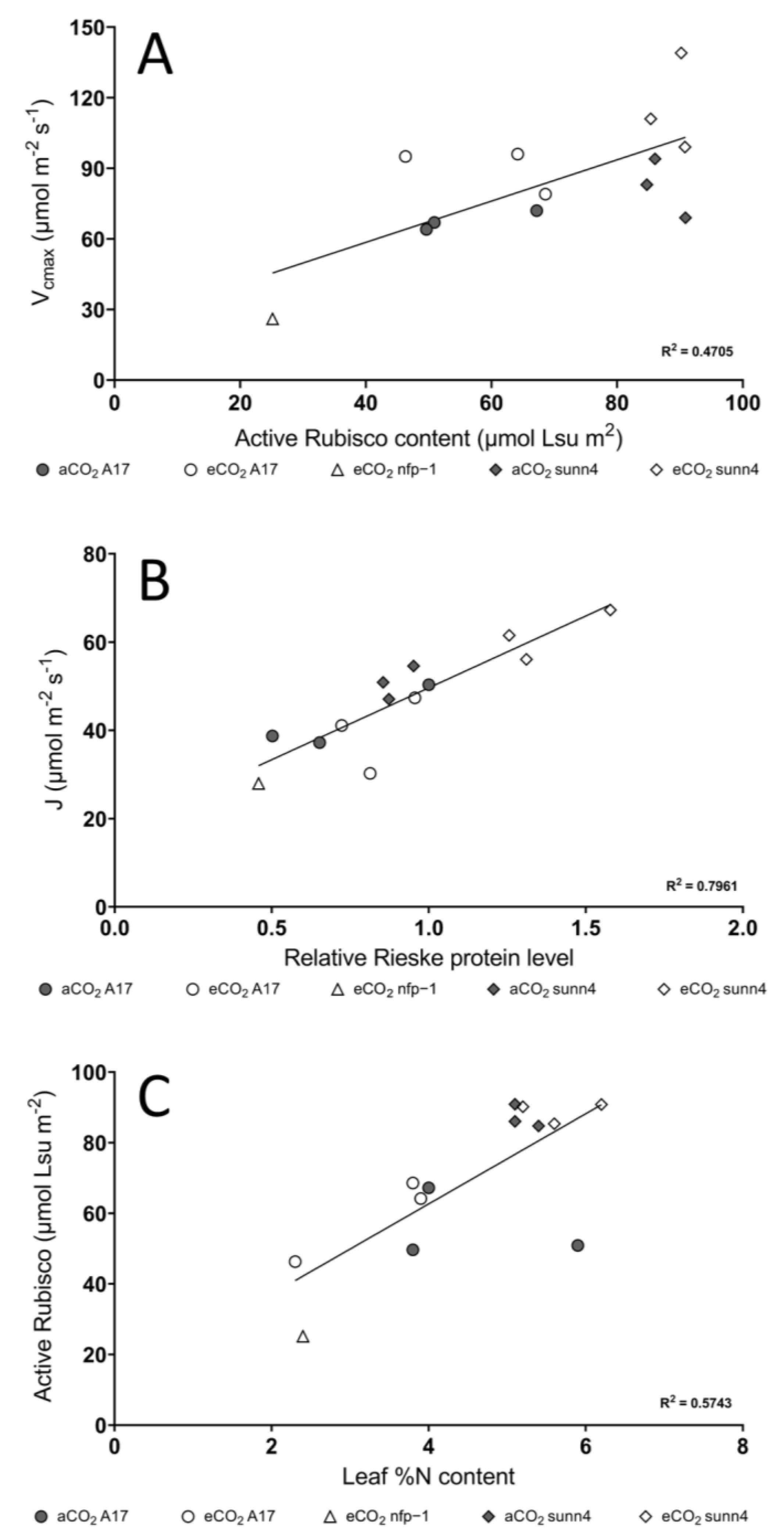 Plants 12 00441 g004
