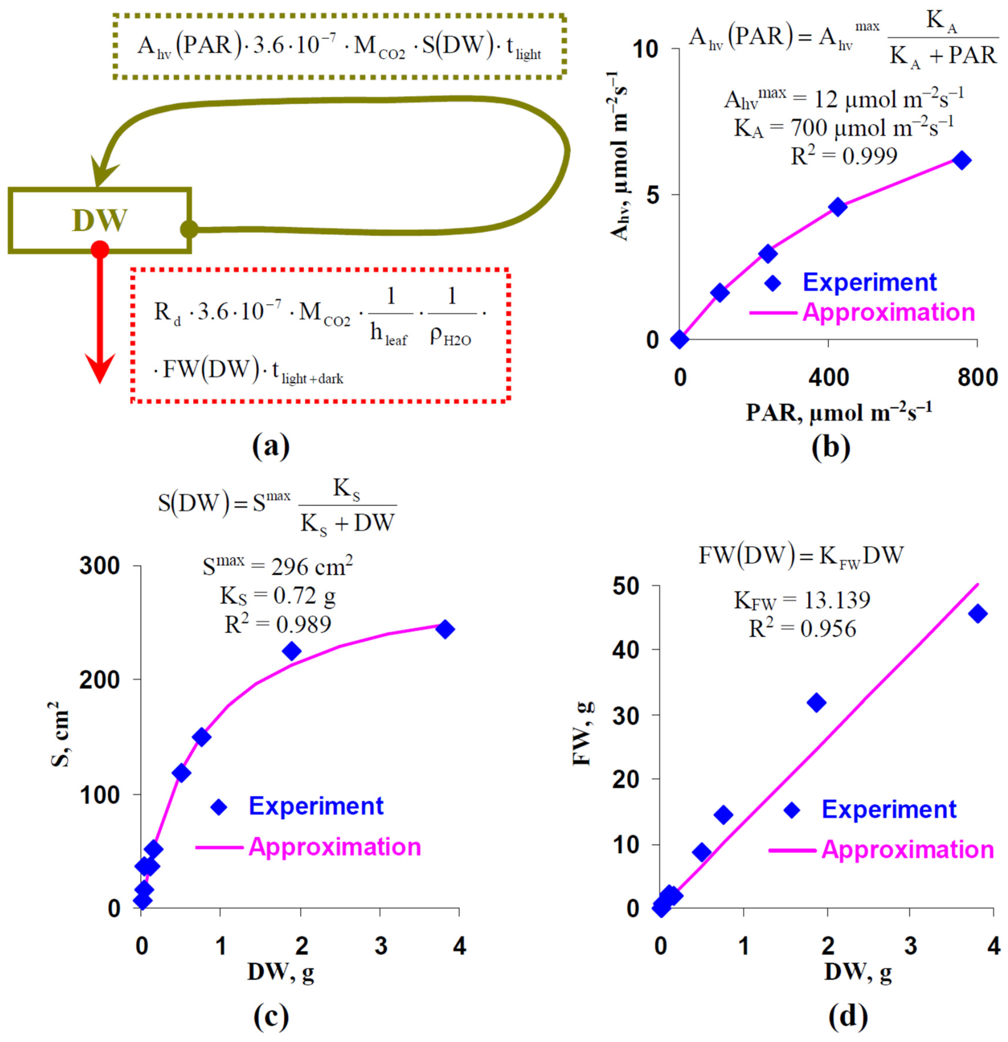 Plants 12 00442 g008