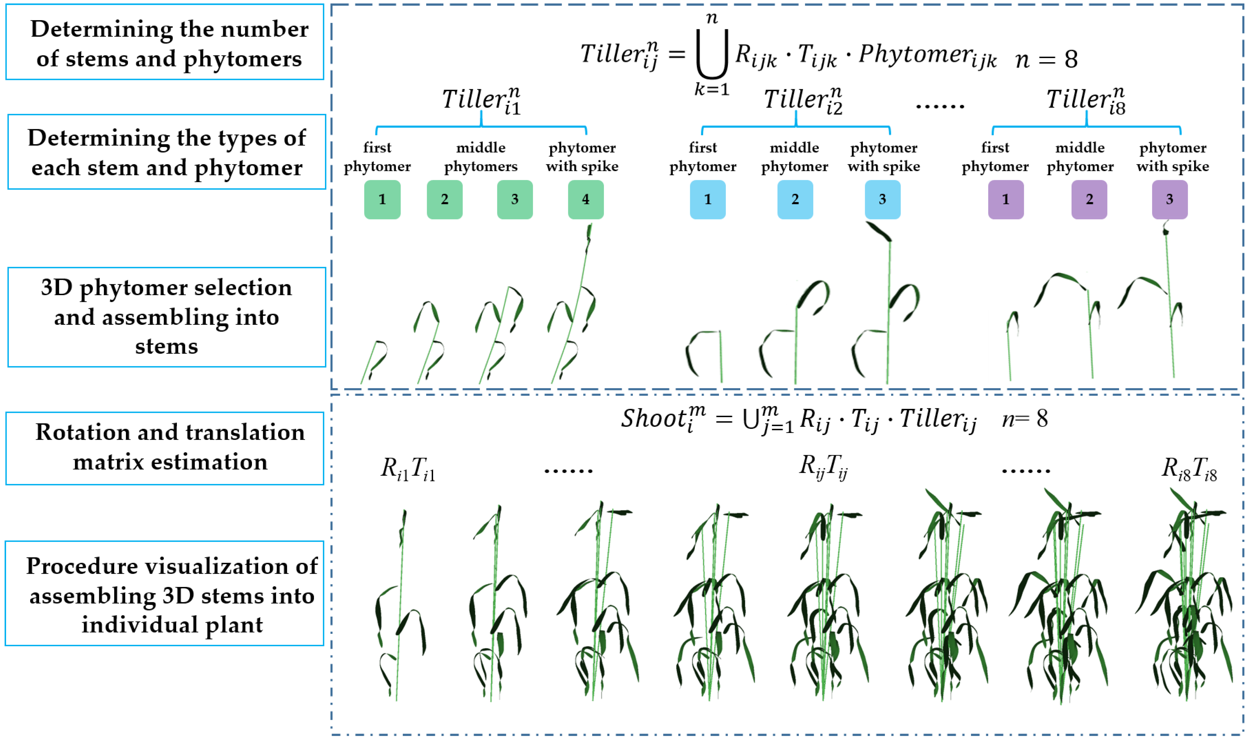 Plants 12 00445 g004 Plants 12 00445 g004