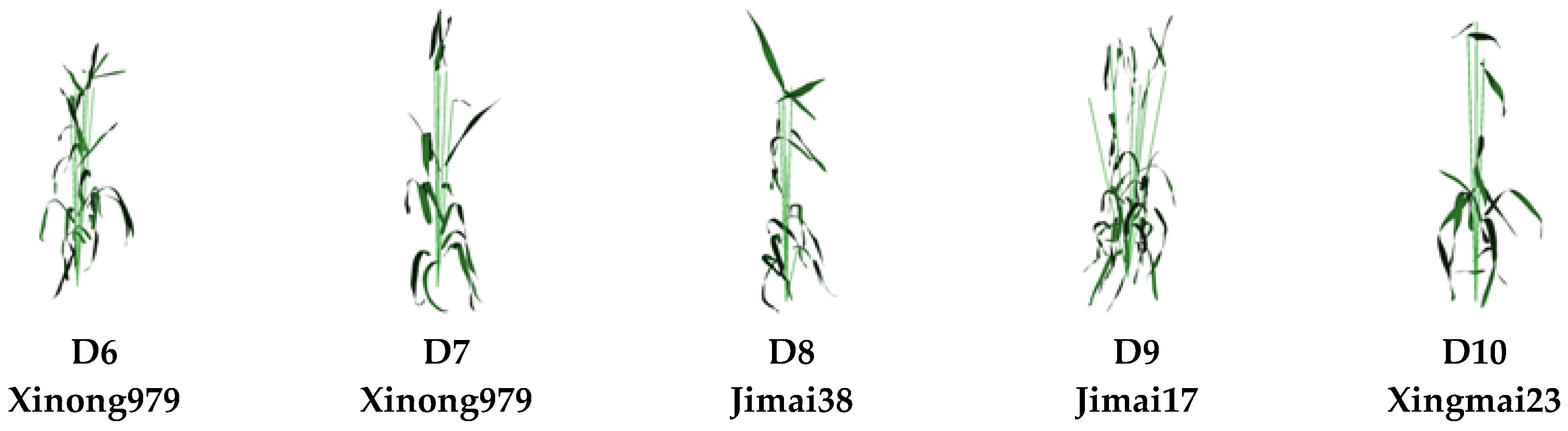 Plants 12 00445 g005b Plants 12 00445 g005b