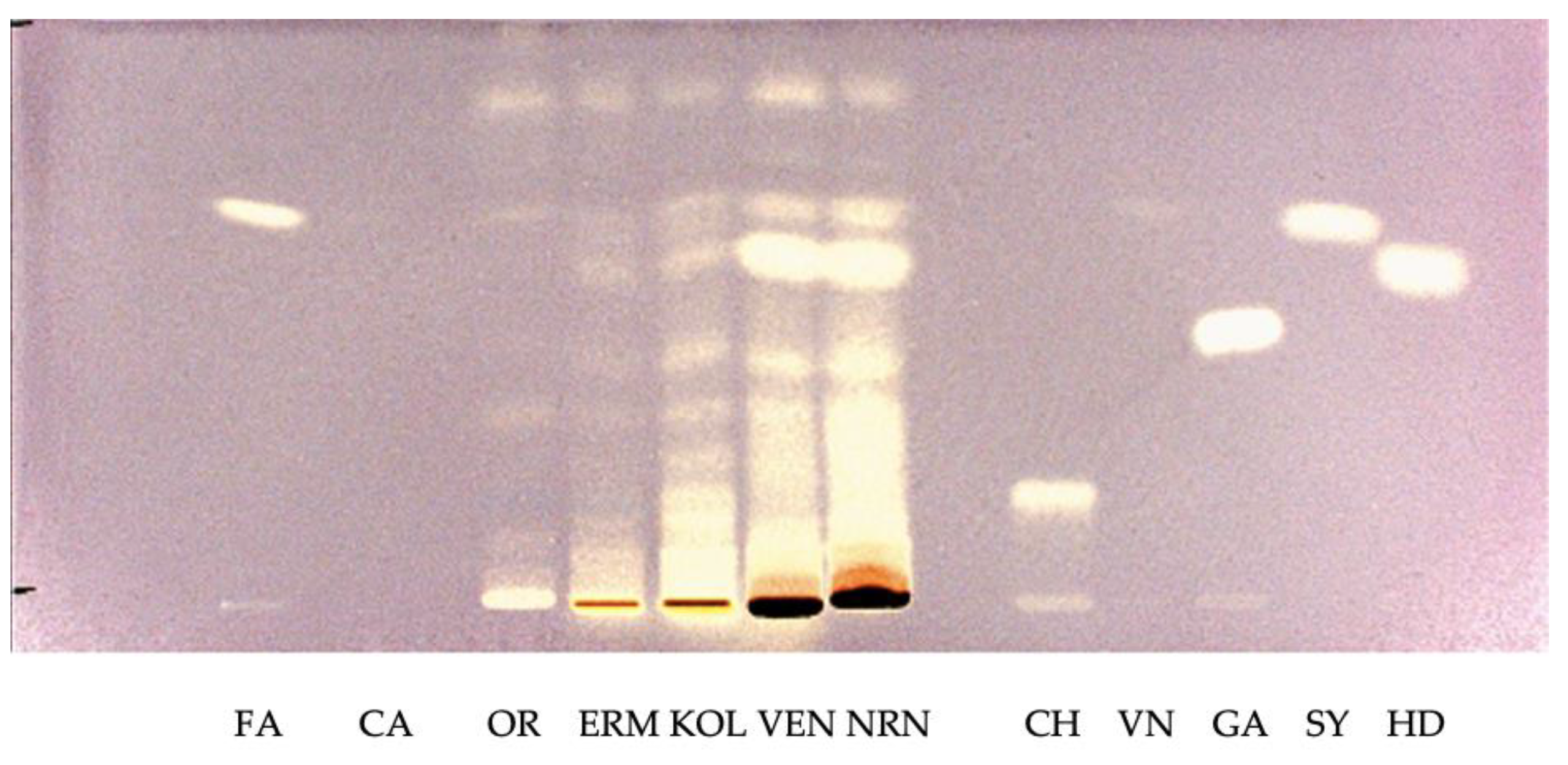 Plants 12 00448 g003