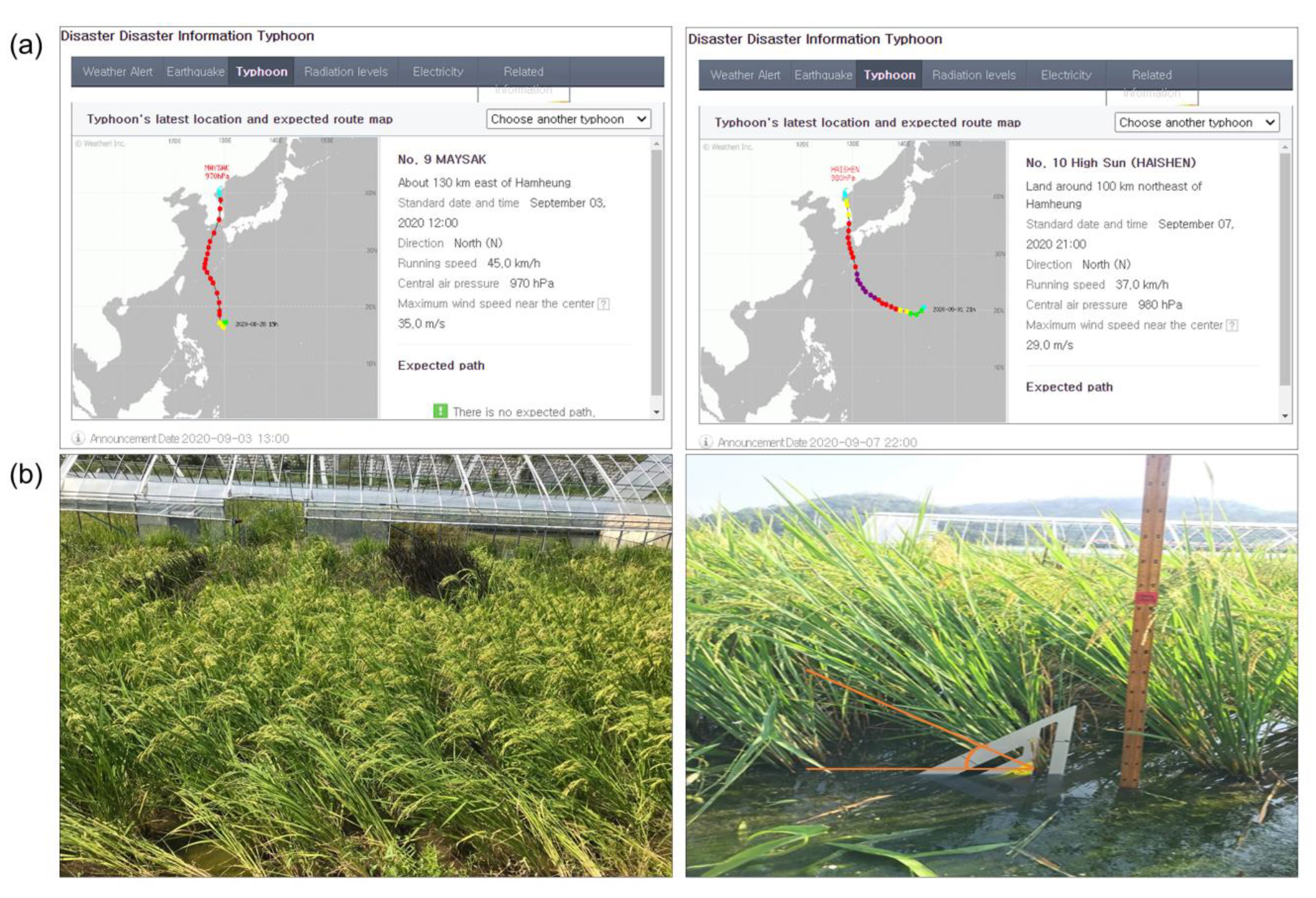 Plants 12 00449 g001