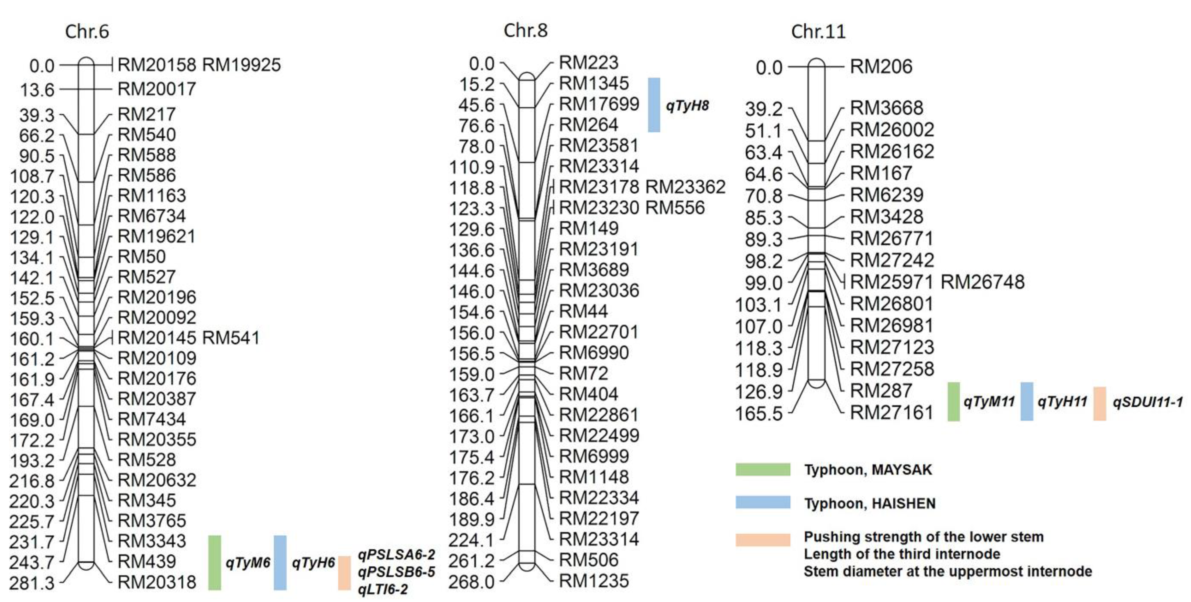 Plants 12 00449 g003