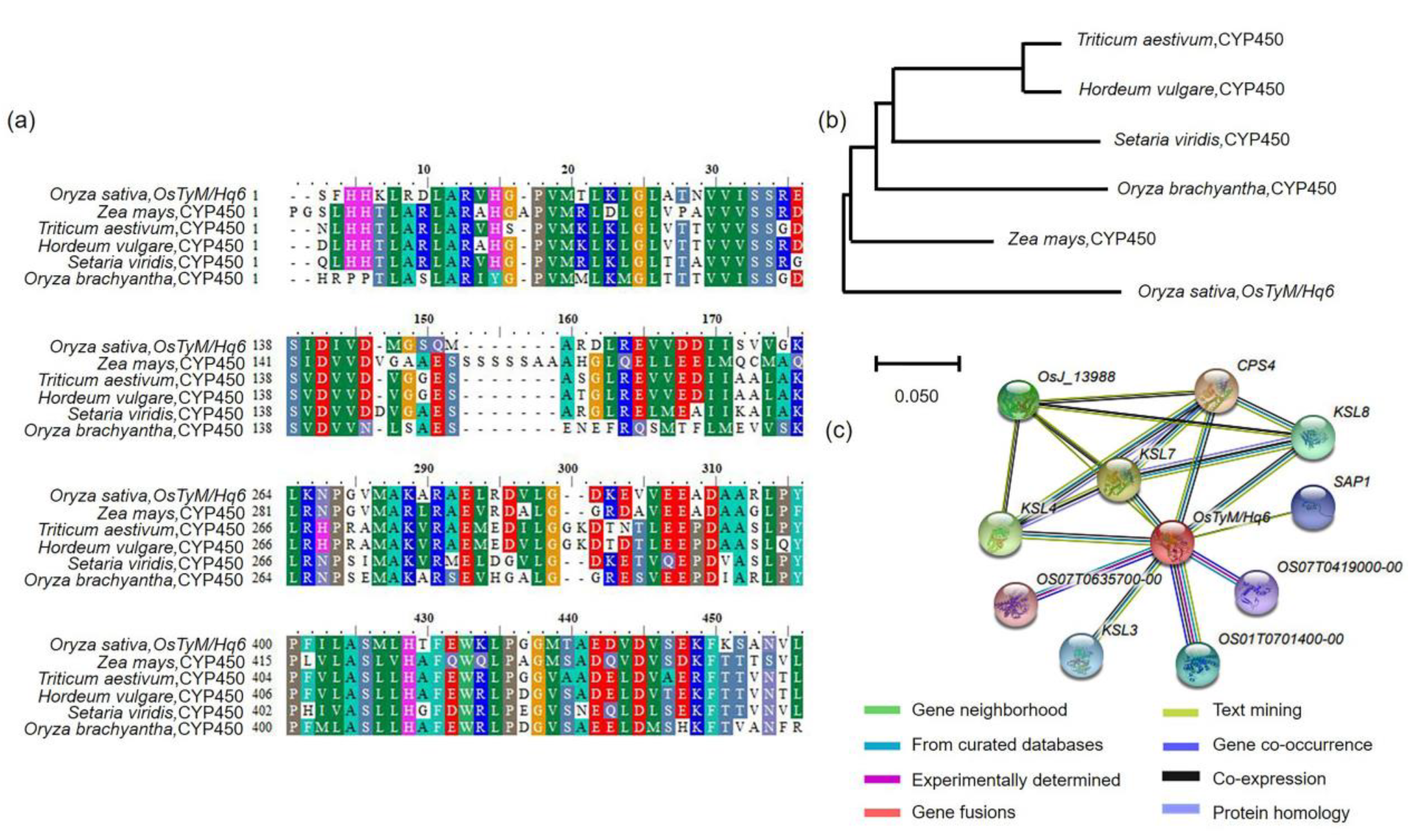 Plants 12 00449 g006