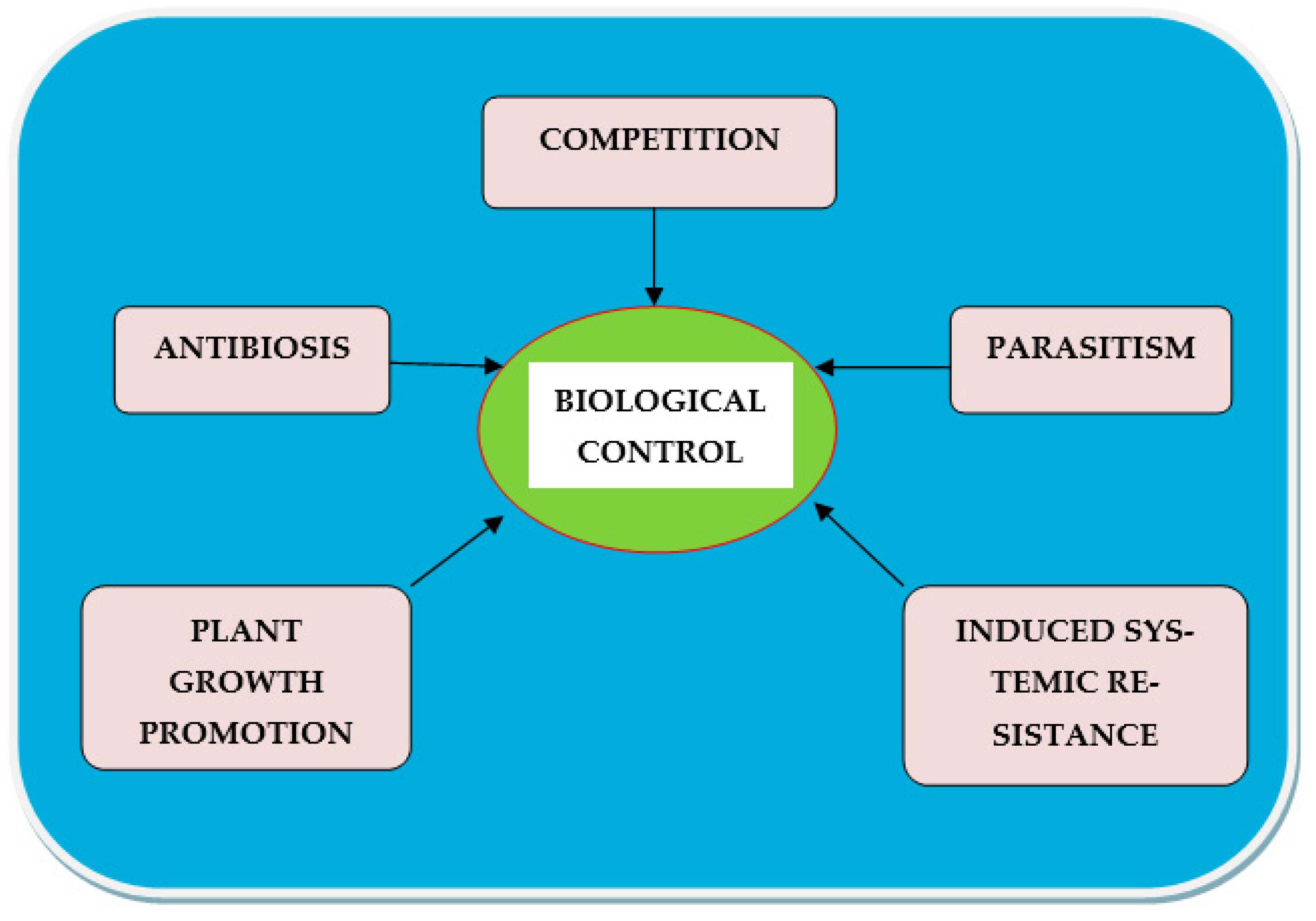Plants 12 00451 g001