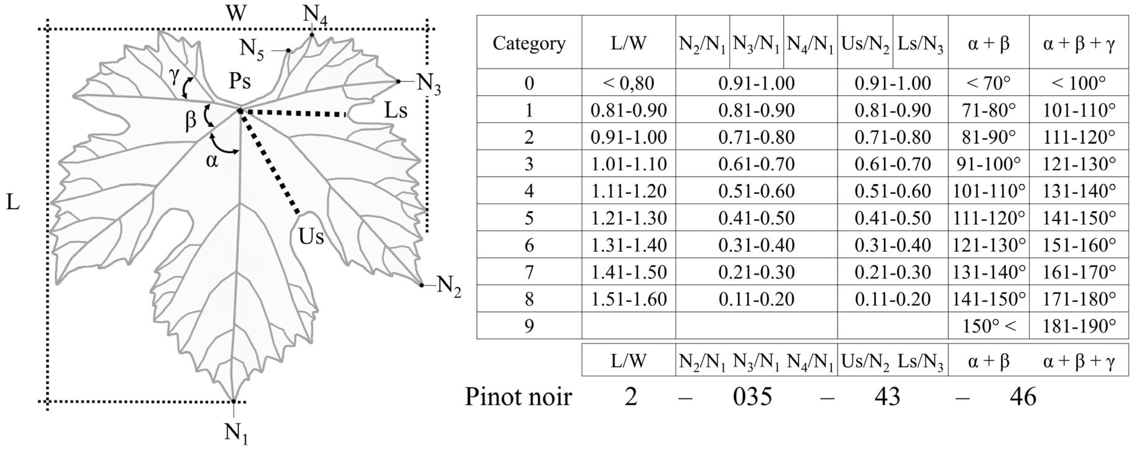 Plants 12 00452 g003 Plants 12 00452 g003