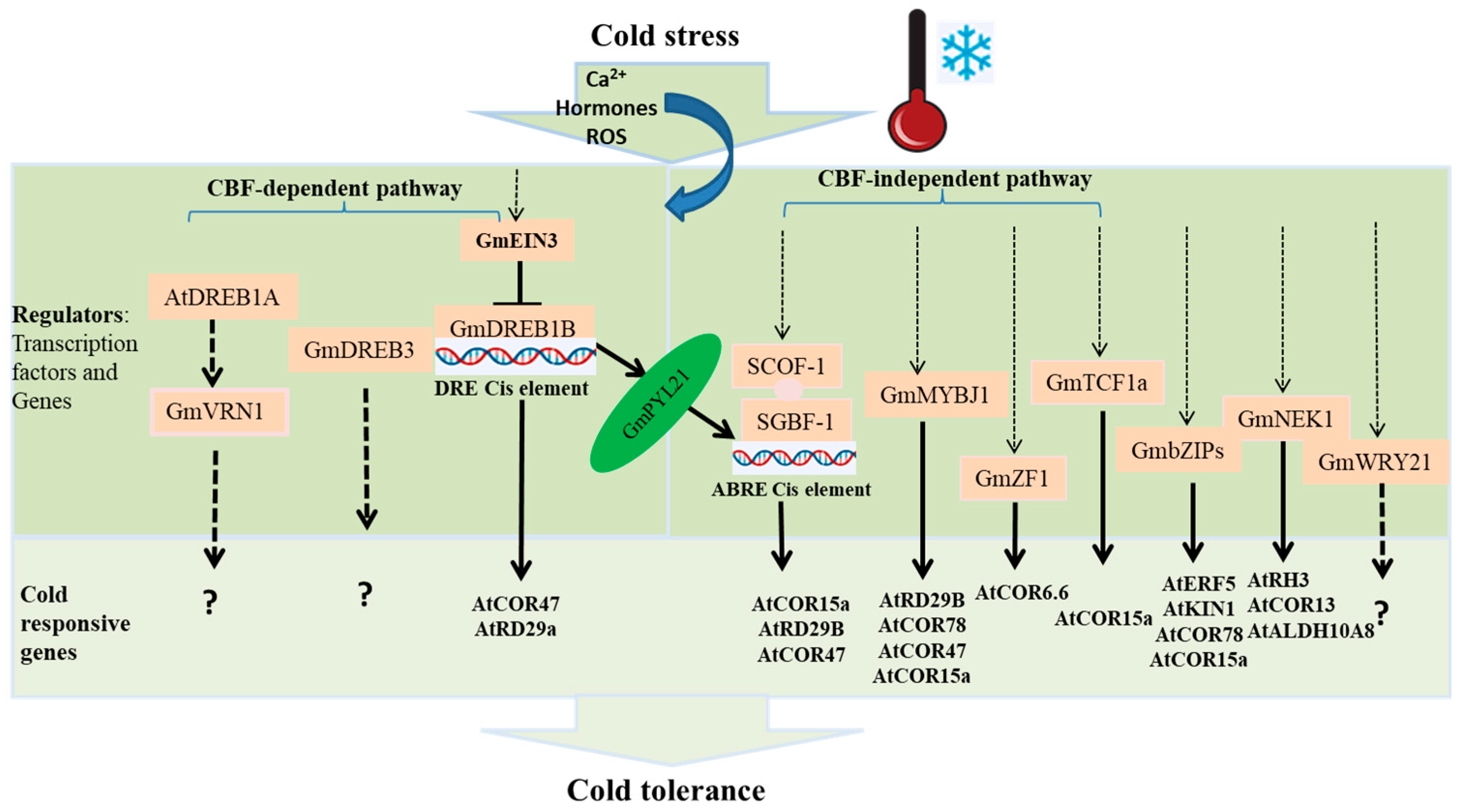 Plants 12 00459 g001