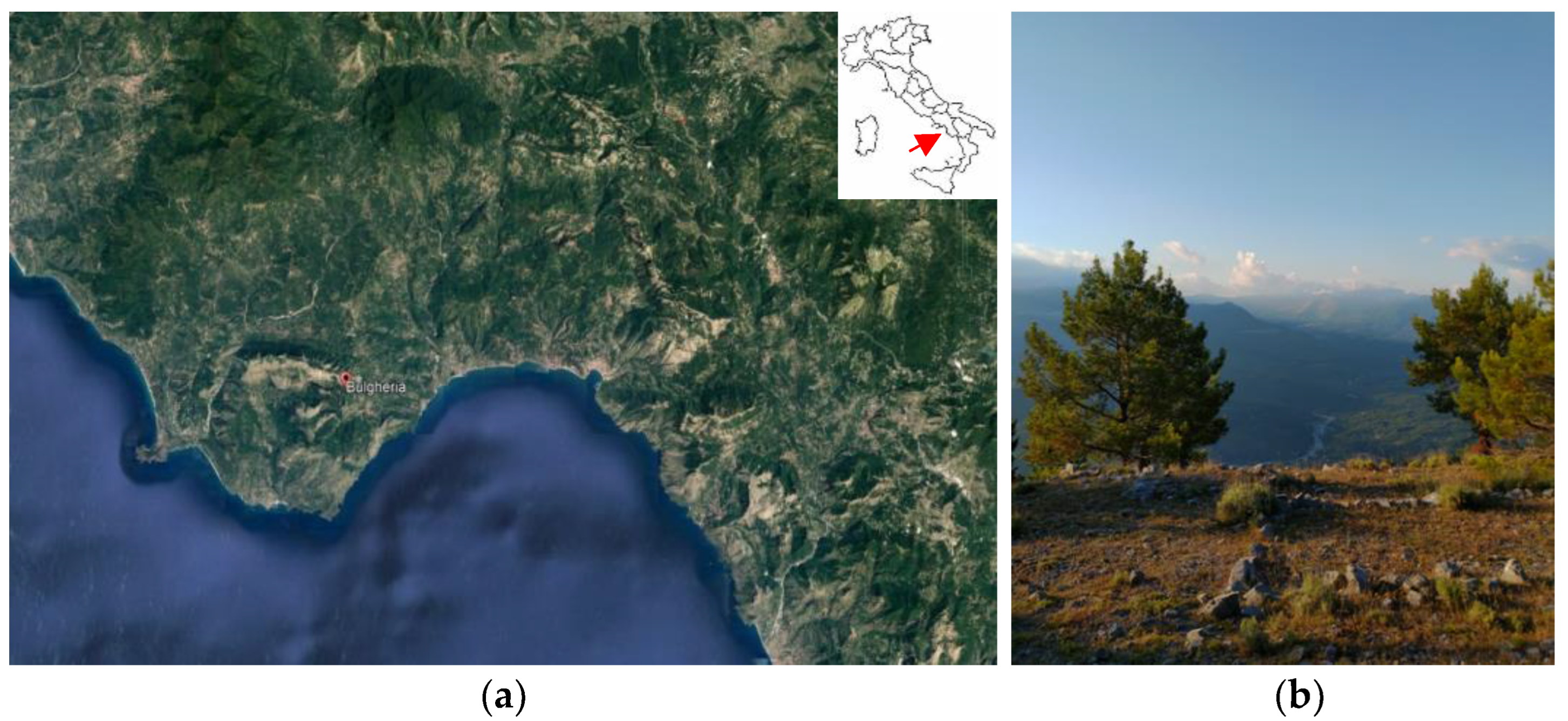 Plants 12 00465 g001 Plants 12 00465 g001