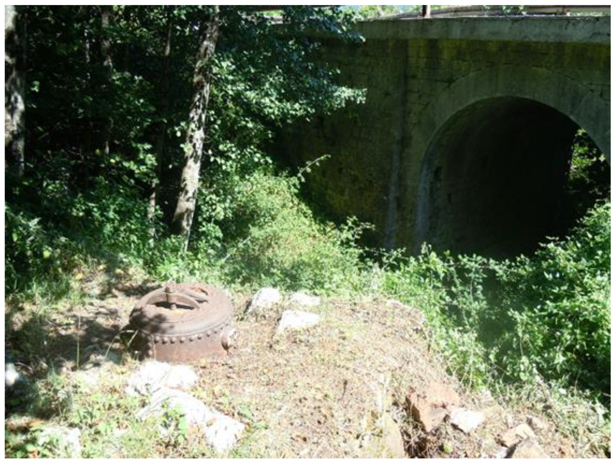 Plants 12 00465 g005 Plants 12 00465 g005