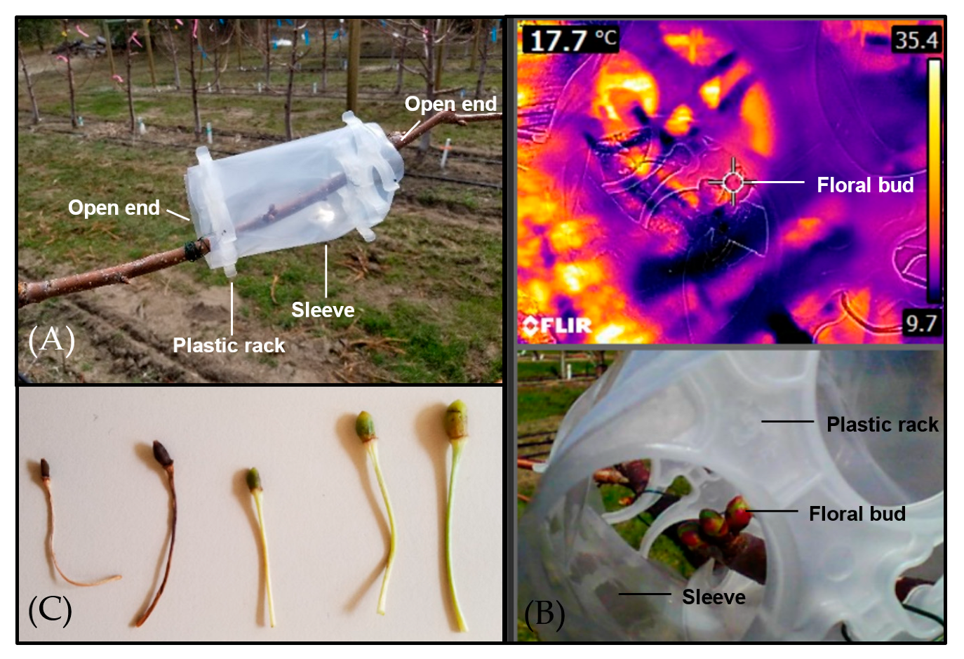 Plants 12 00468 g001 Plants 12 00468 g001