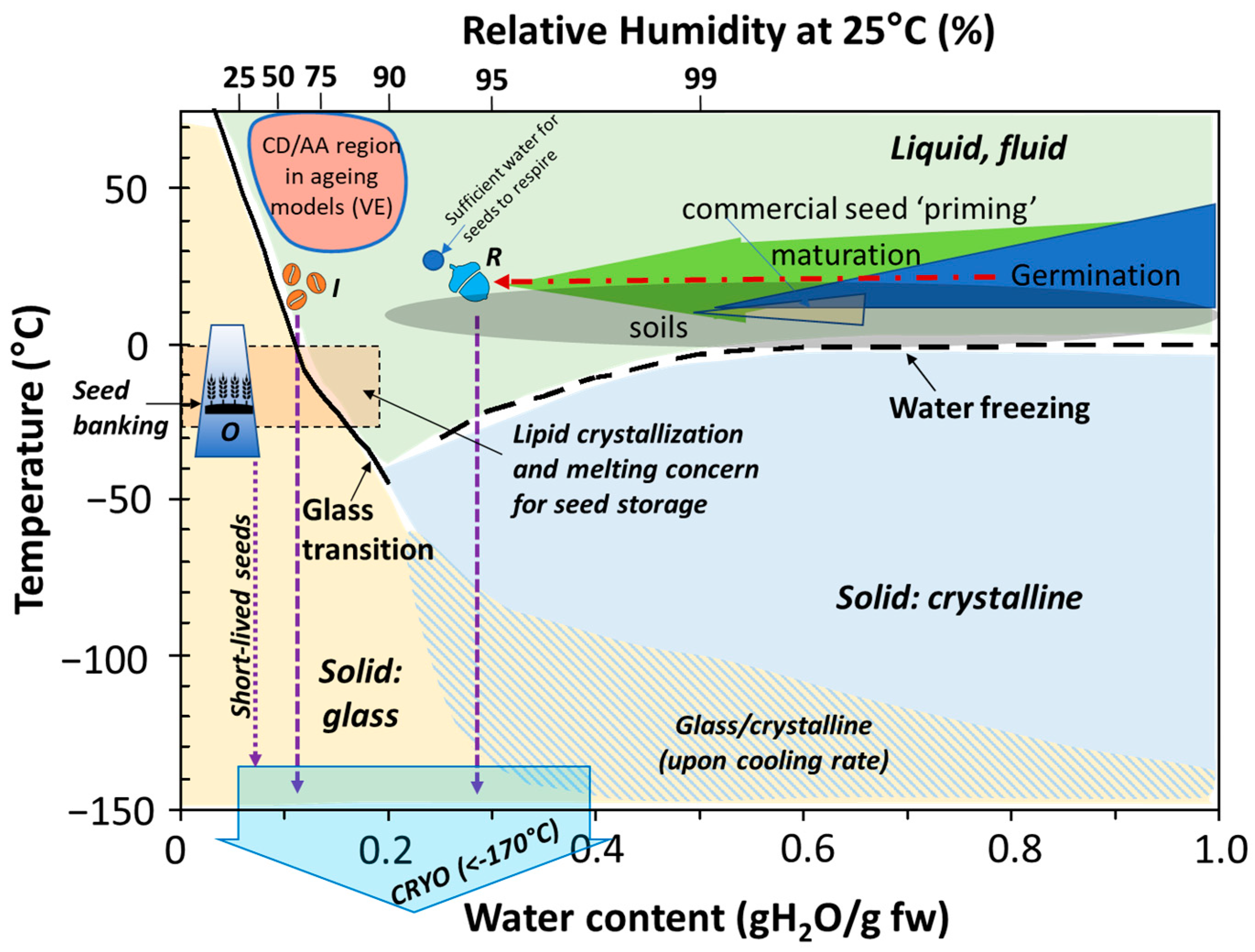 Plants 12 00471 g001