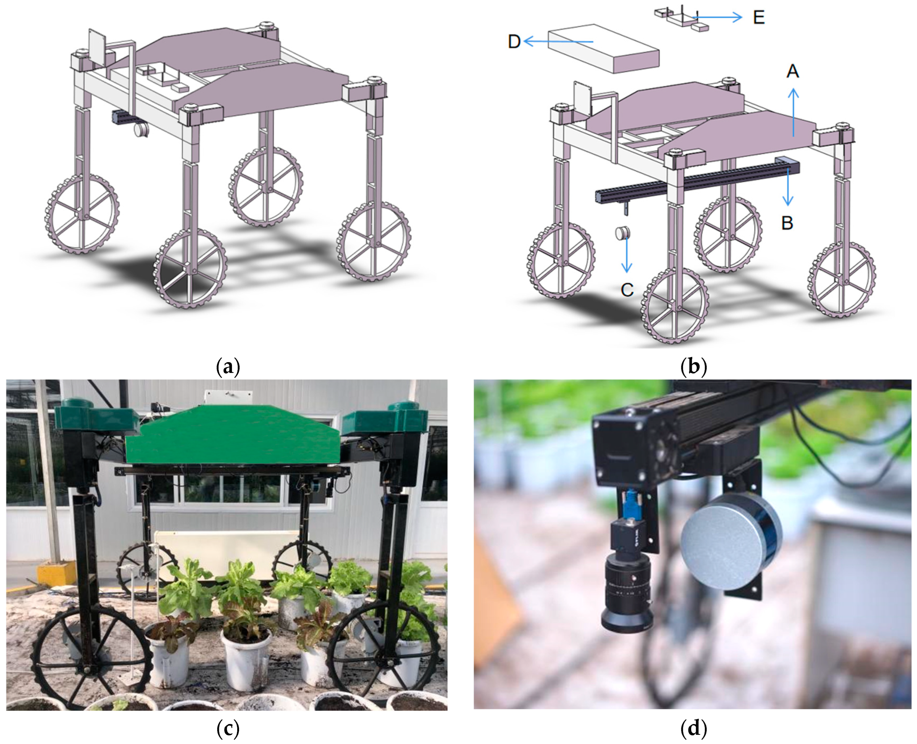Plants 12 00483 g002 Plants 12 00483 g002