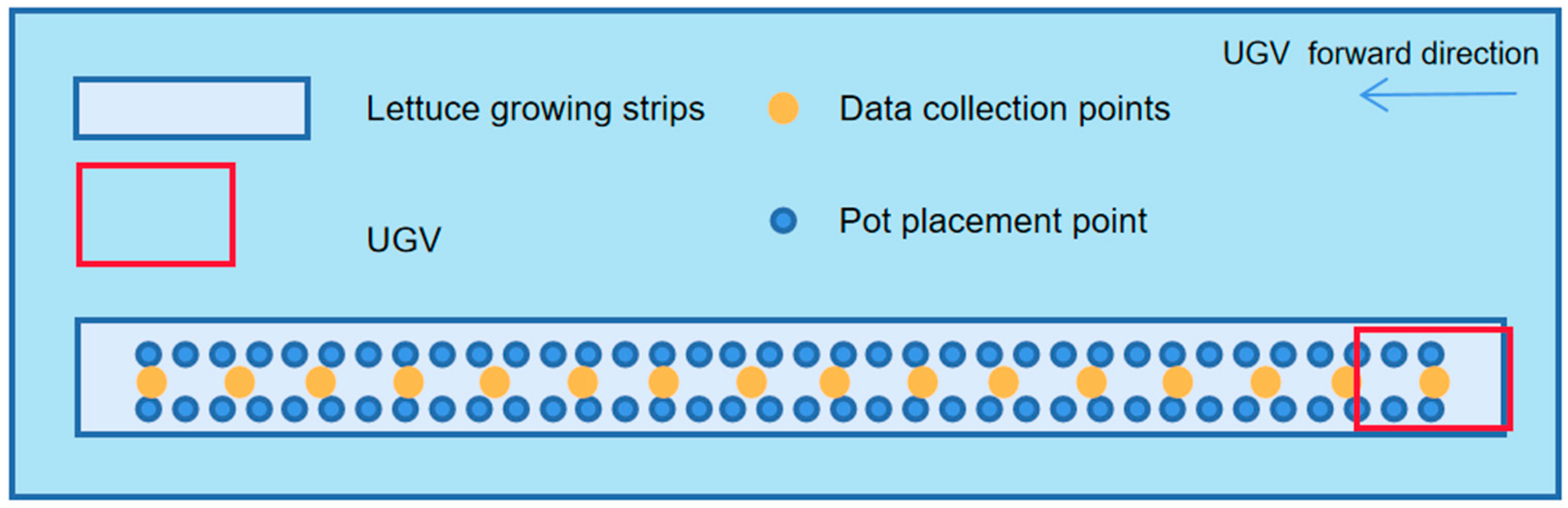 Plants 12 00483 g005 Plants 12 00483 g005
