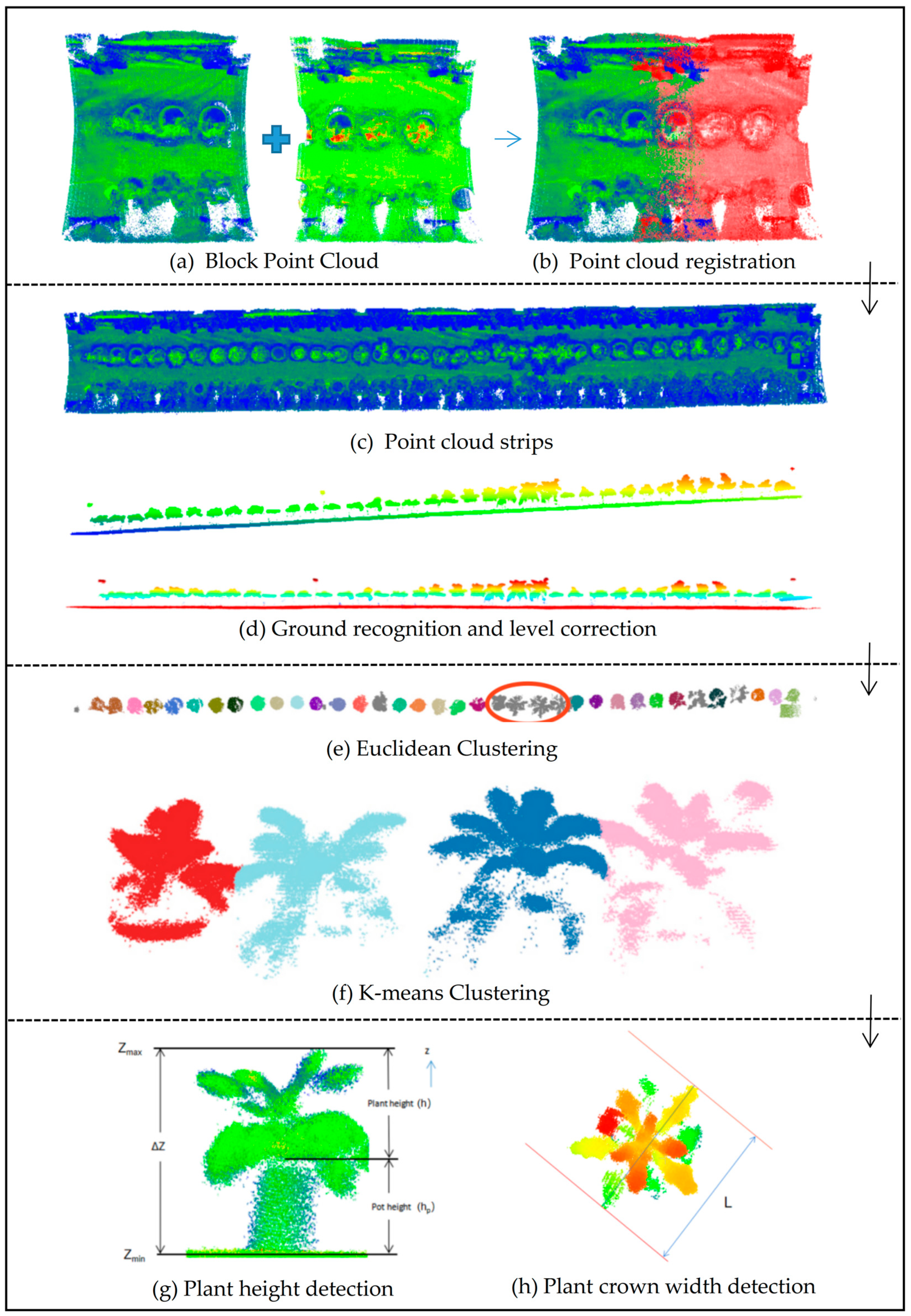 Plants 12 00483 g007 Plants 12 00483 g007