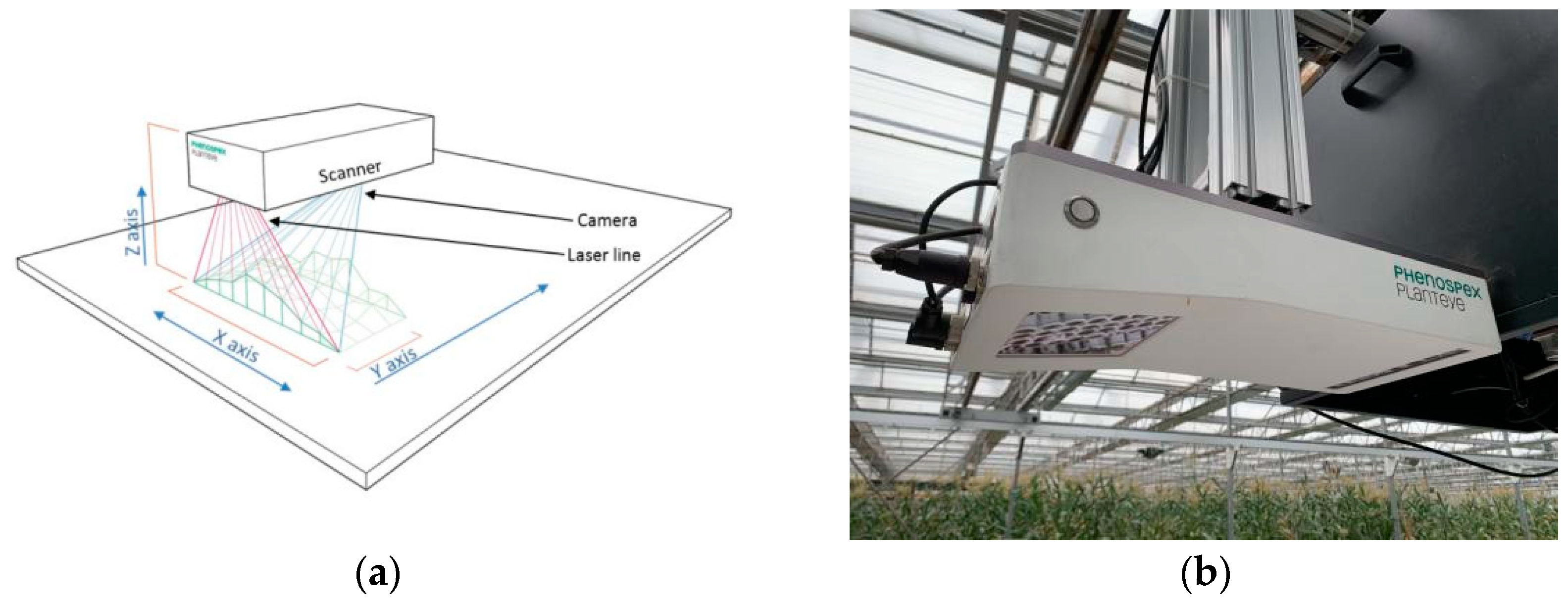 Plants 12 00483 g008 Plants 12 00483 g008