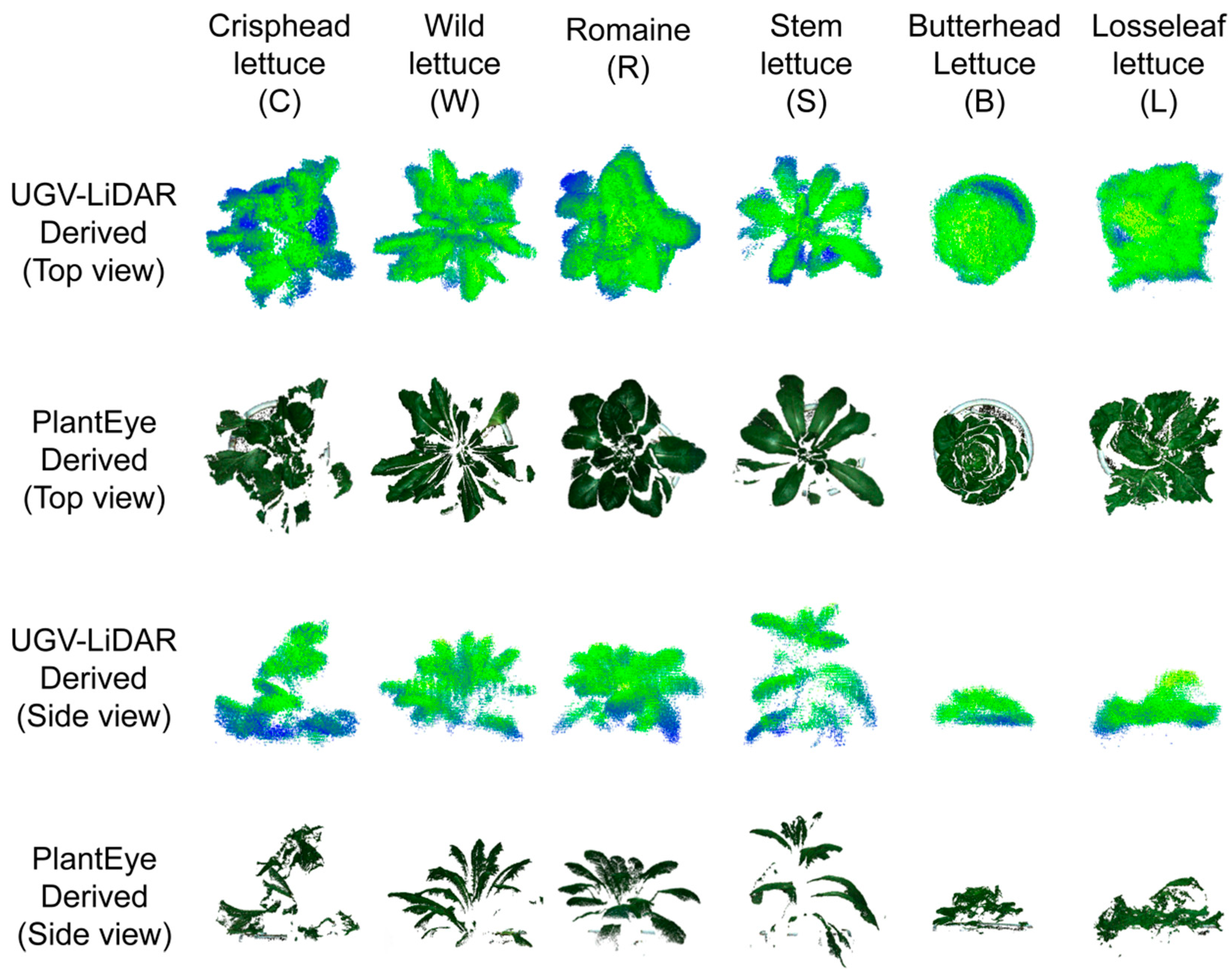 Plants 12 00483 g009 Plants 12 00483 g009