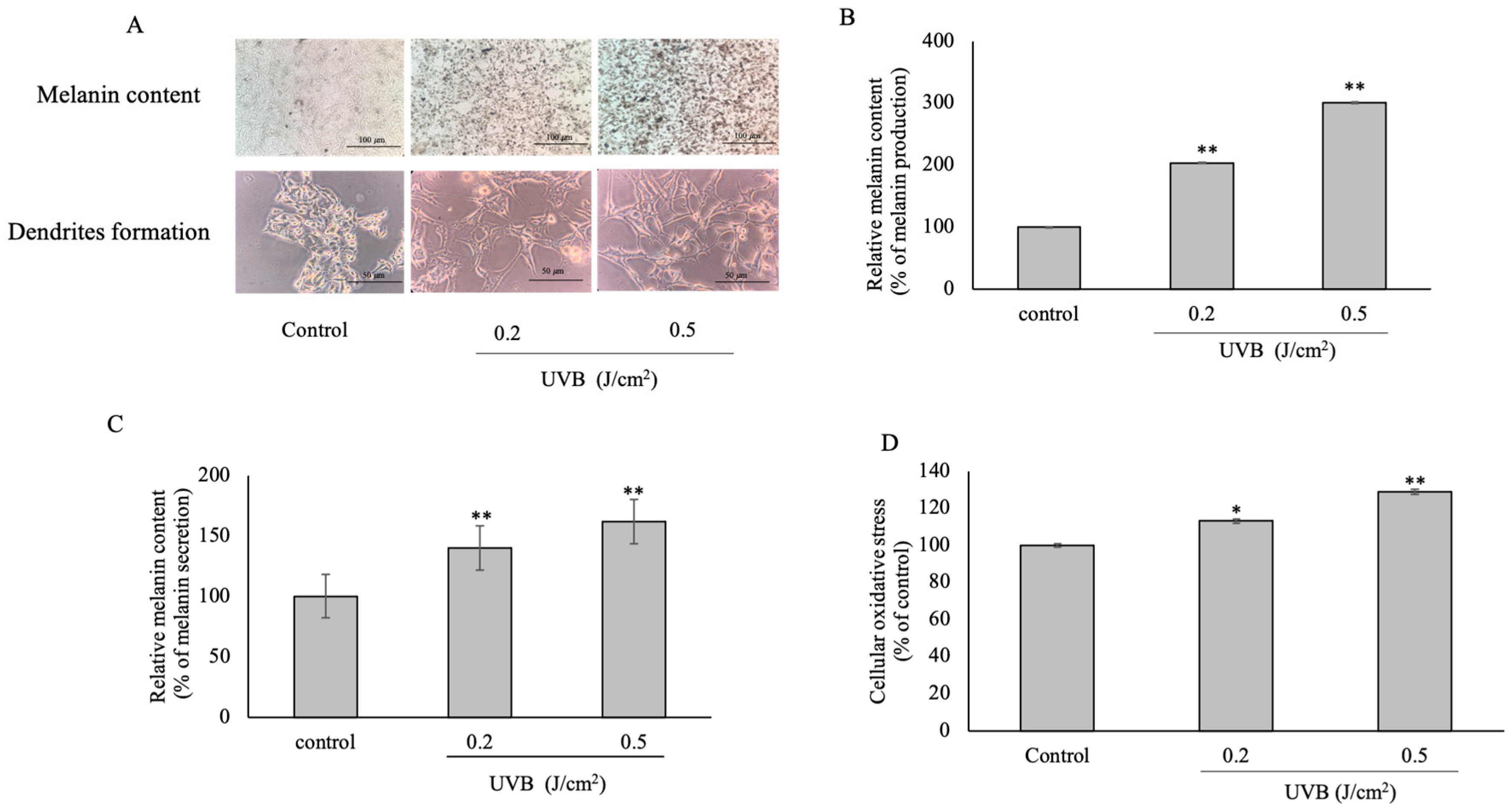 Plants 12 00484 g001