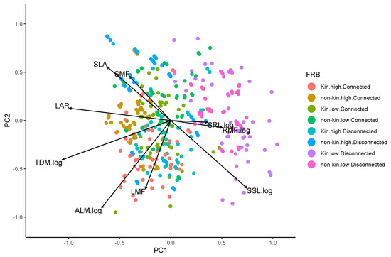 Kin and Non-Kin Connected Plants Benefit More Than Disconnected Kin and ...