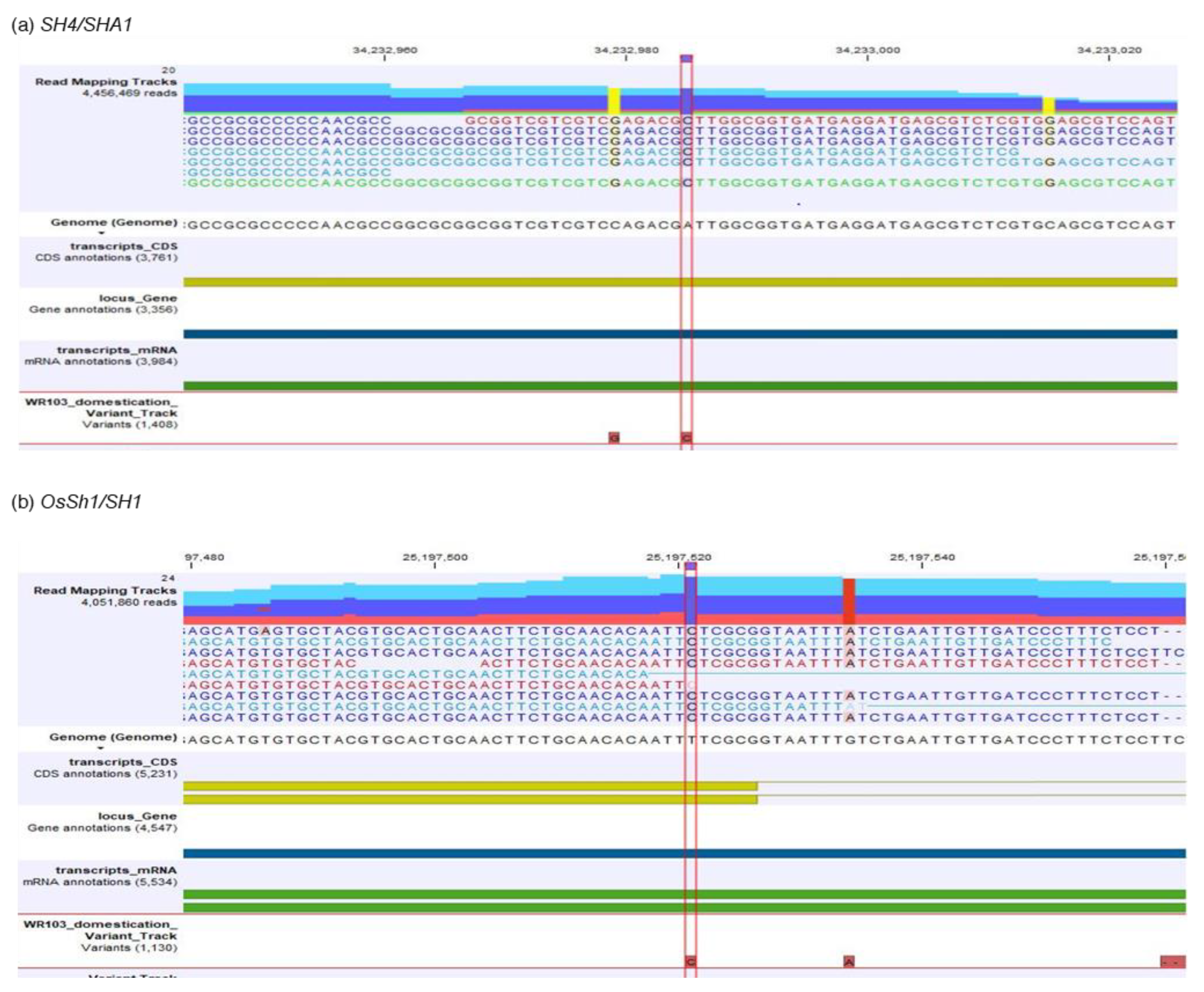Plants 12 00489 g002 Plants 12 00489 g002