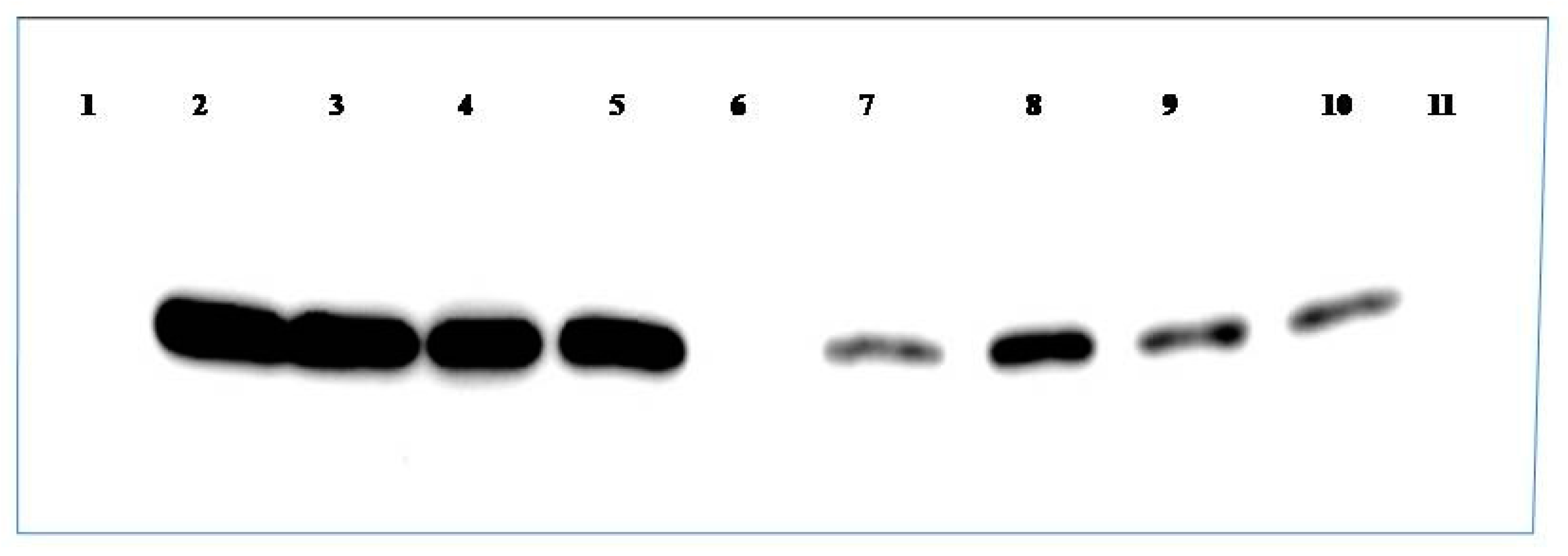 Plants 12 00490 g003