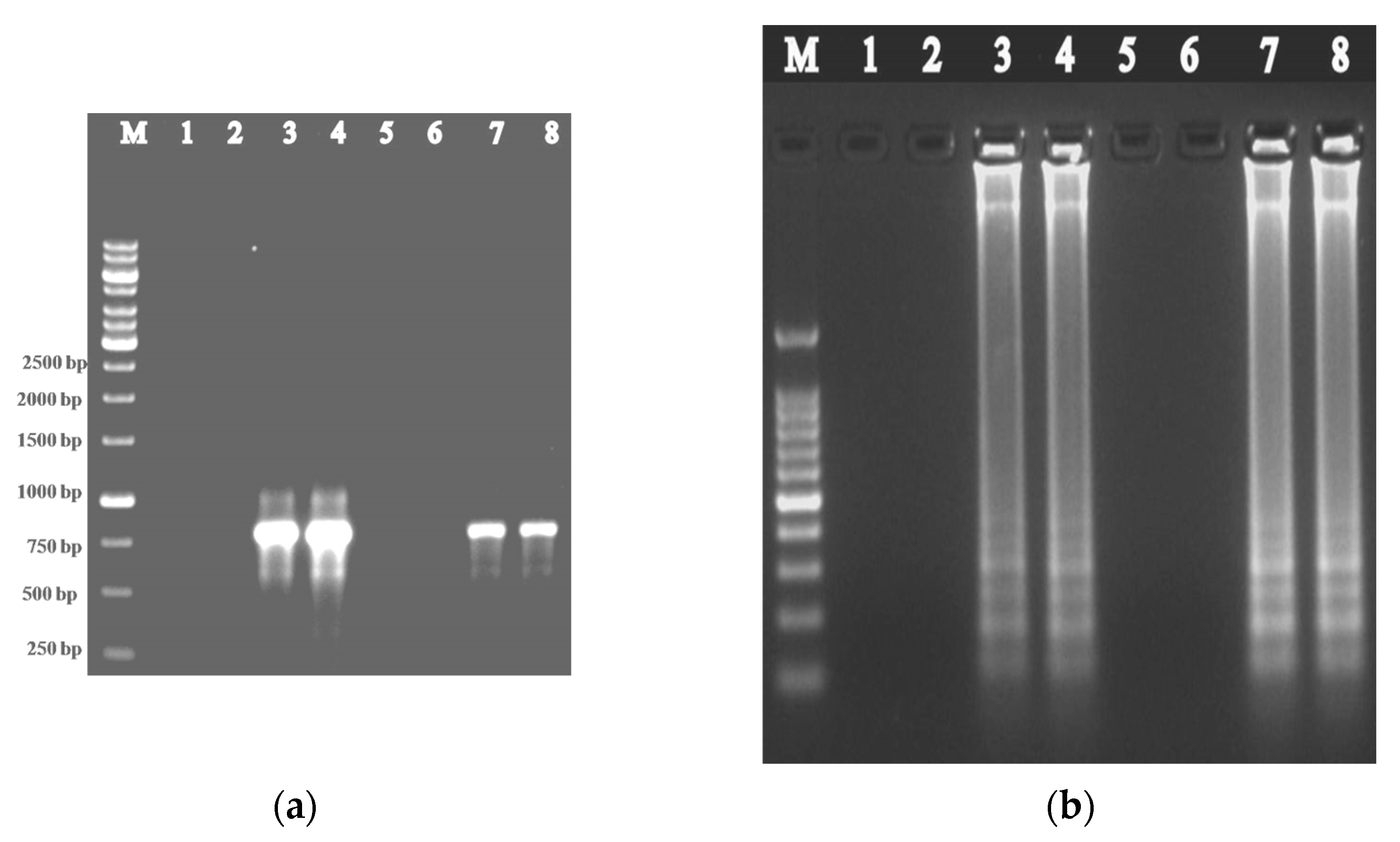 Plants 12 00490 g004