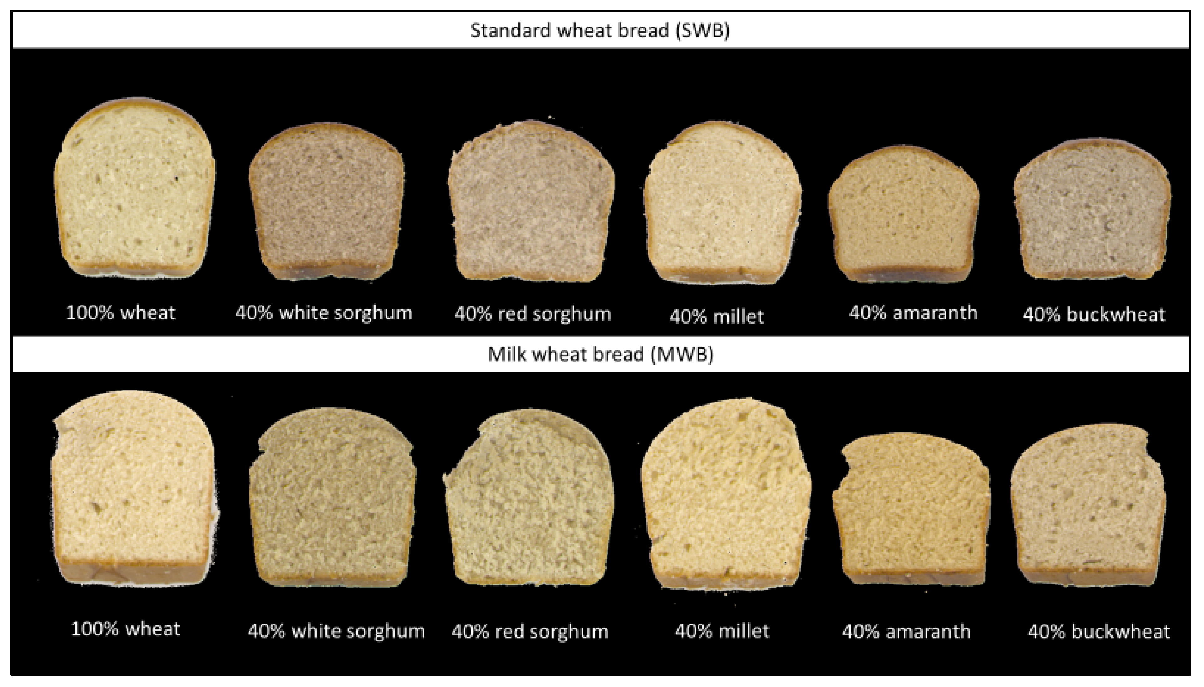 Plants 12 00492 g005